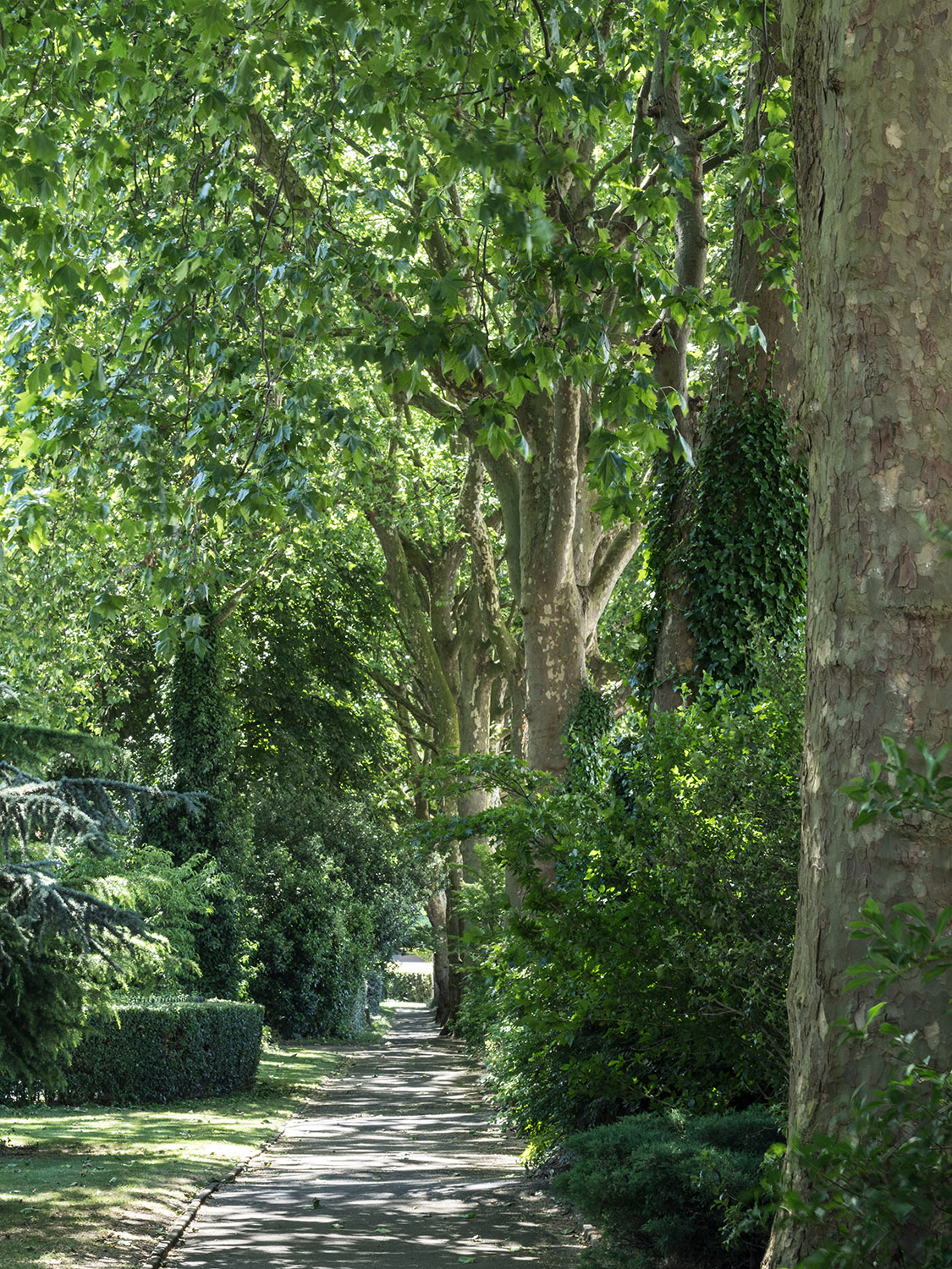 伦敦汉密尔顿台地 68 号丨英国伦敦丨Stepladder Design-108