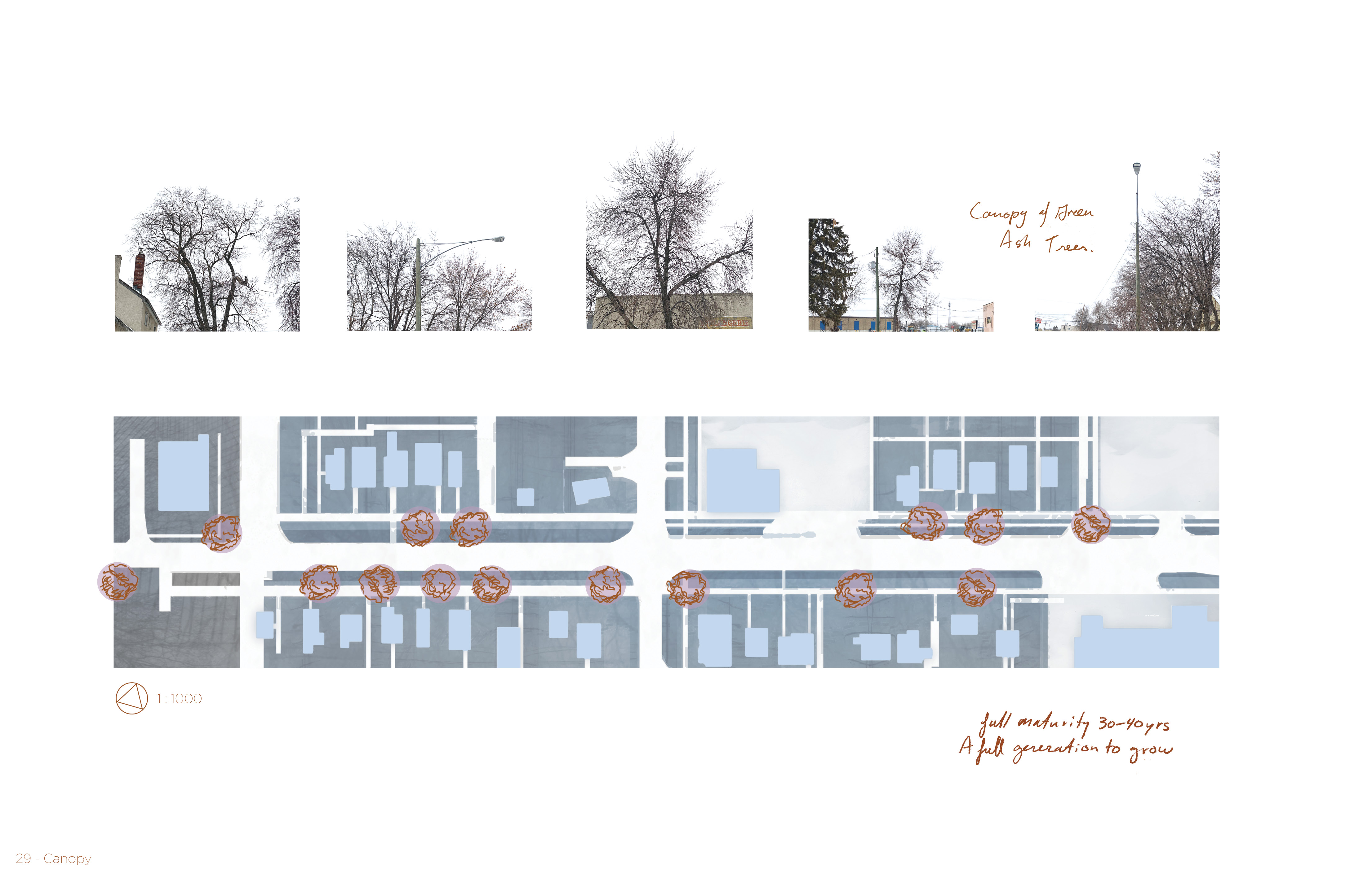 Lights on Tissot that Look Down and Remember the Trees-10