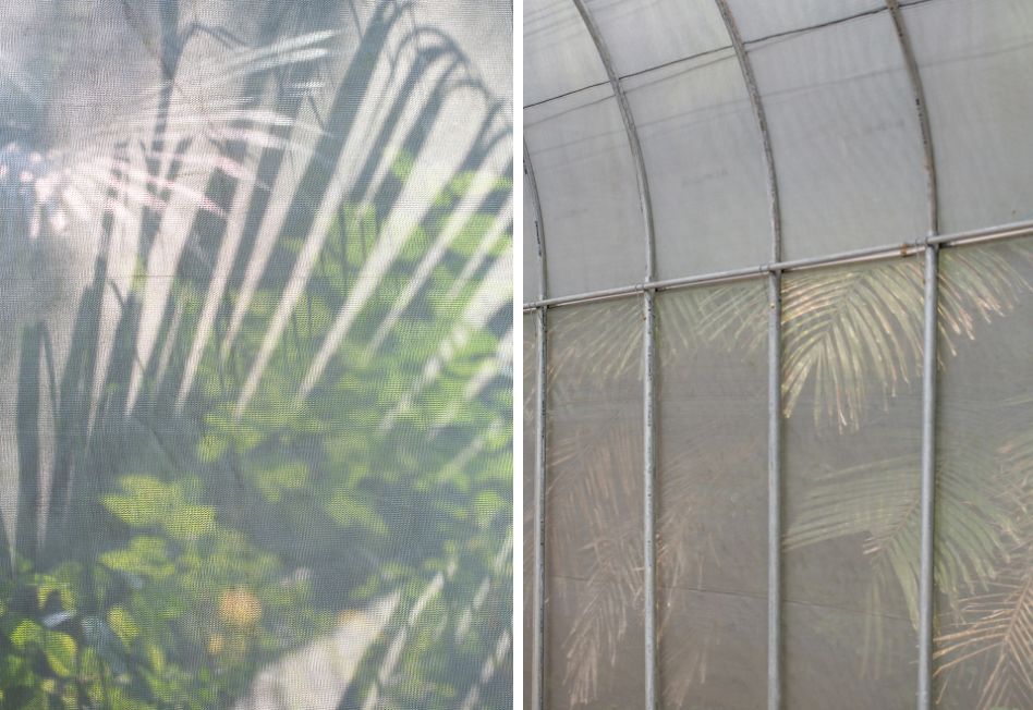 苗栗香格里拉乐园自然教室 | 岩石与银网的生态奇观-66