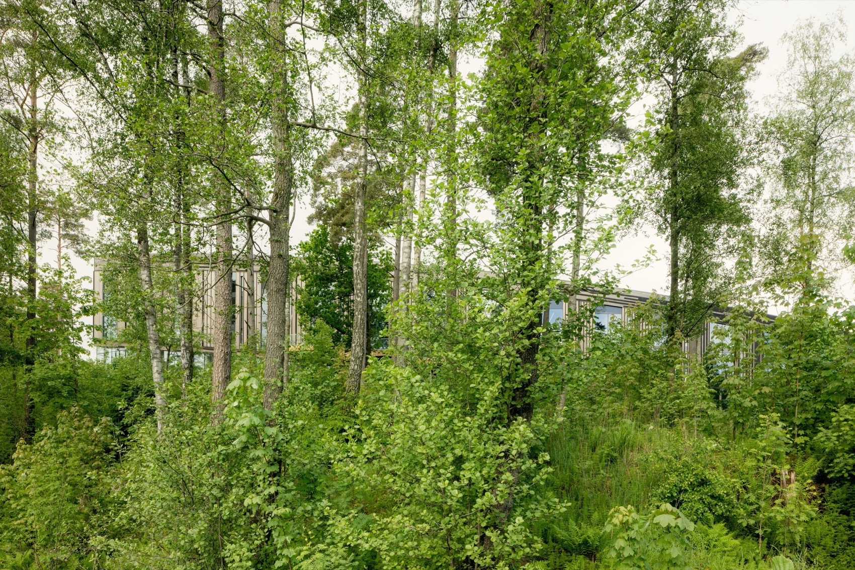 湖边社区中心(湖屋)丨瑞典丨Snøhetta等(含景观,室内等设计方)-14