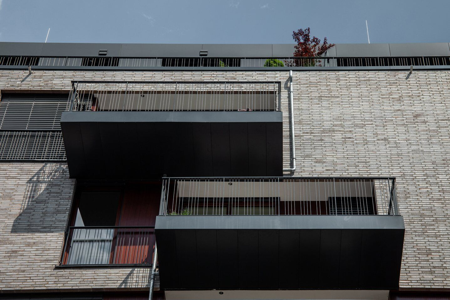 柏林市中心的绿色住宅丨德国柏林丨Gnädinger Architects-33