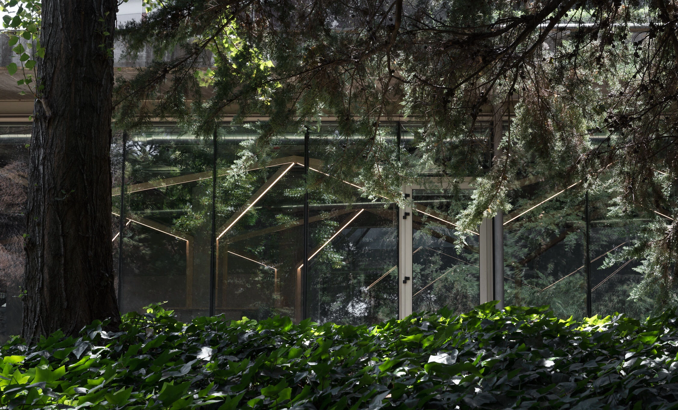 萨特林克办事处丨西班牙马德里丨taller básico de arquitectura-30