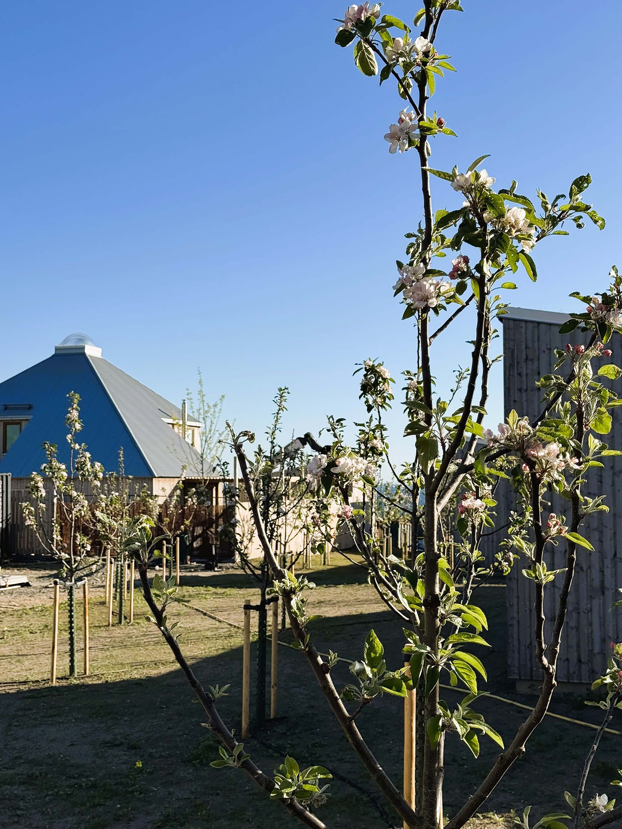 丨瑞典丨STADSTUDIO-30