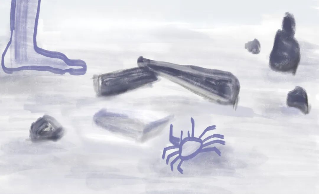 海边的两块石头-11