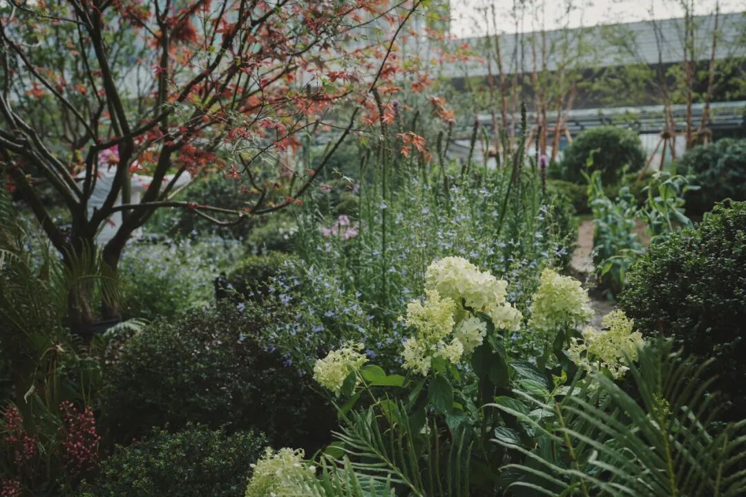 城市山丘|瑞安·武汉天地云逸-70