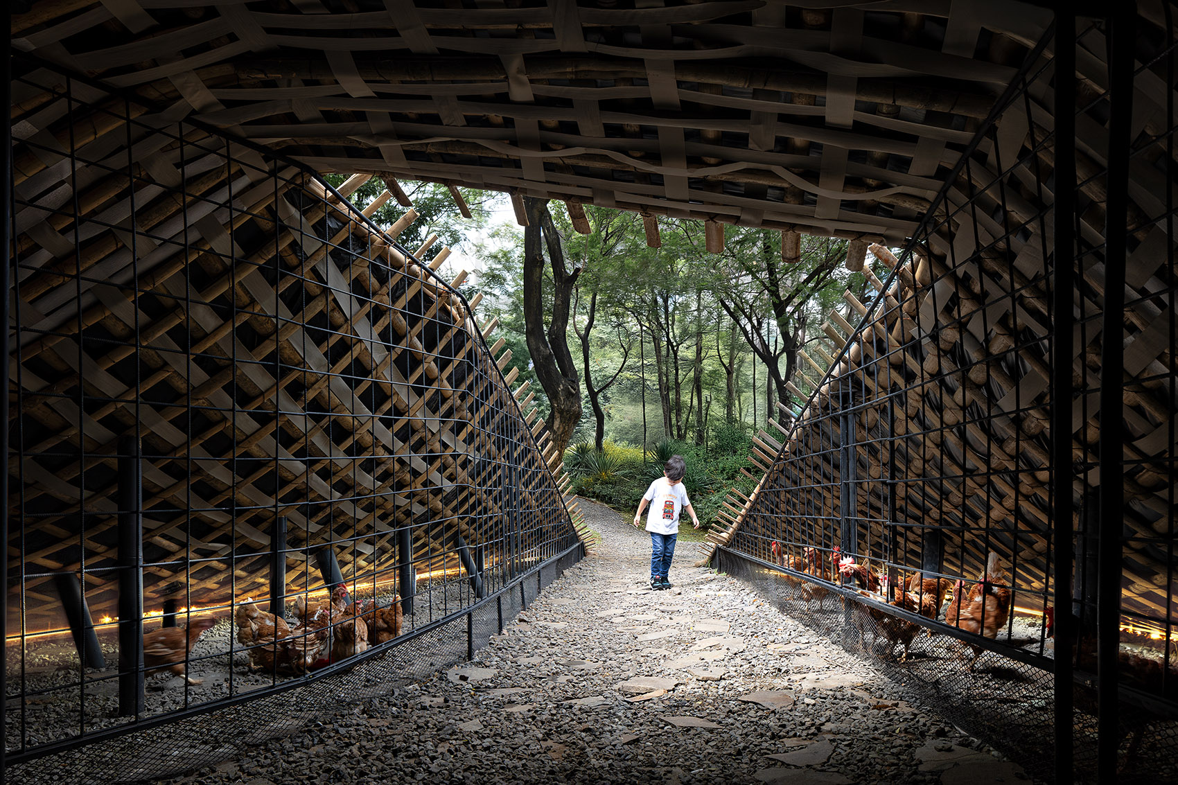 Chicken Hero 亭丨印度尼西亚雅加达丨RAD+ar-18