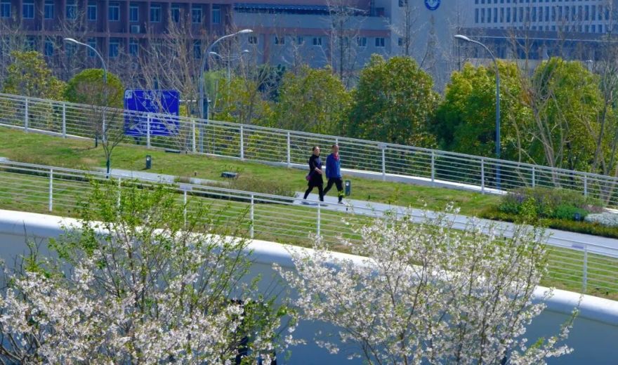 绿芯公园丨中国成都丨四川省建筑设计研究院有限公司SADI设计五院-4