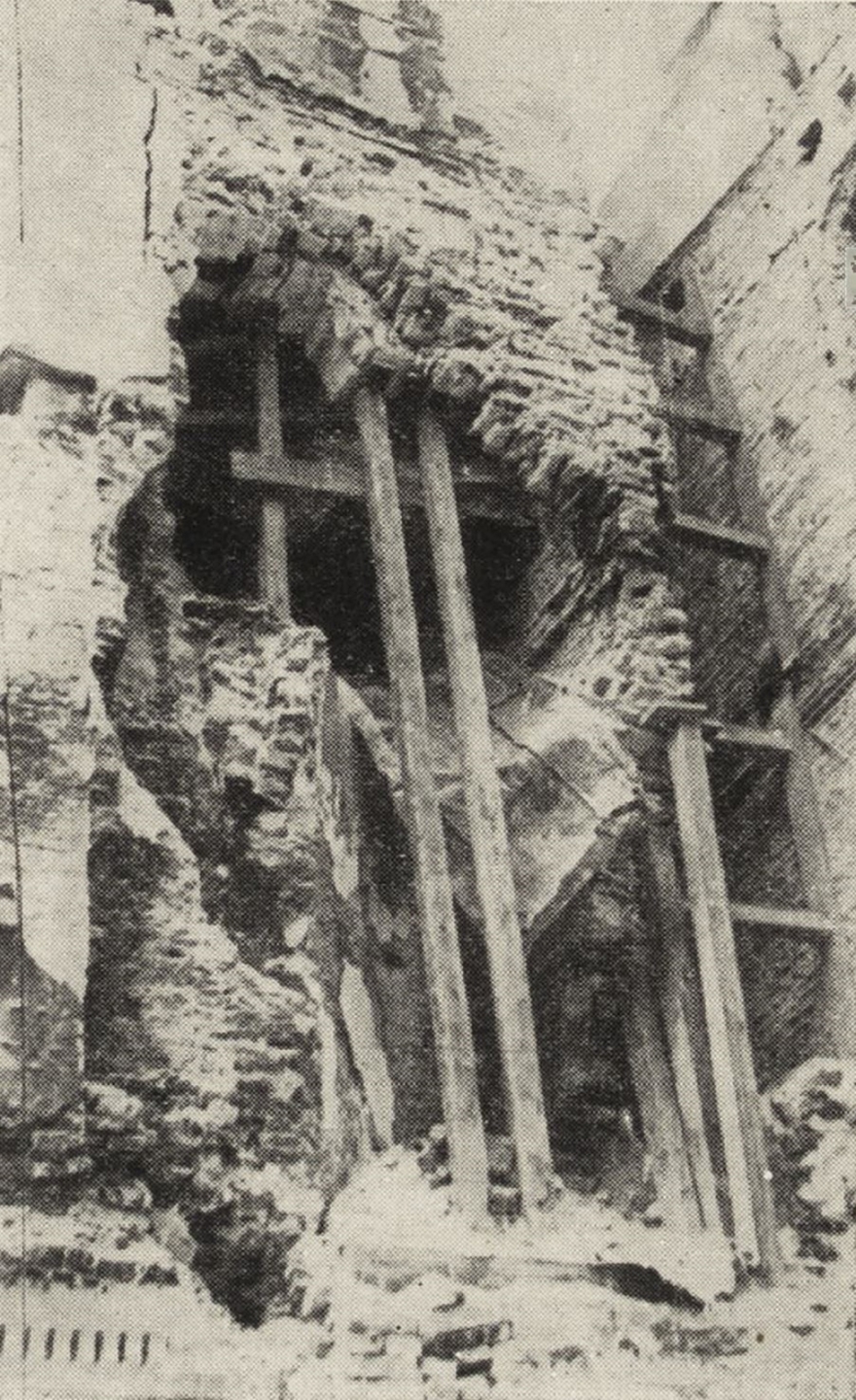 华沙皇家浴场公园内的岛屿宫丨波兰华沙丨蒂尔曼·冯·加默伦,多米尼克·梅林等-71