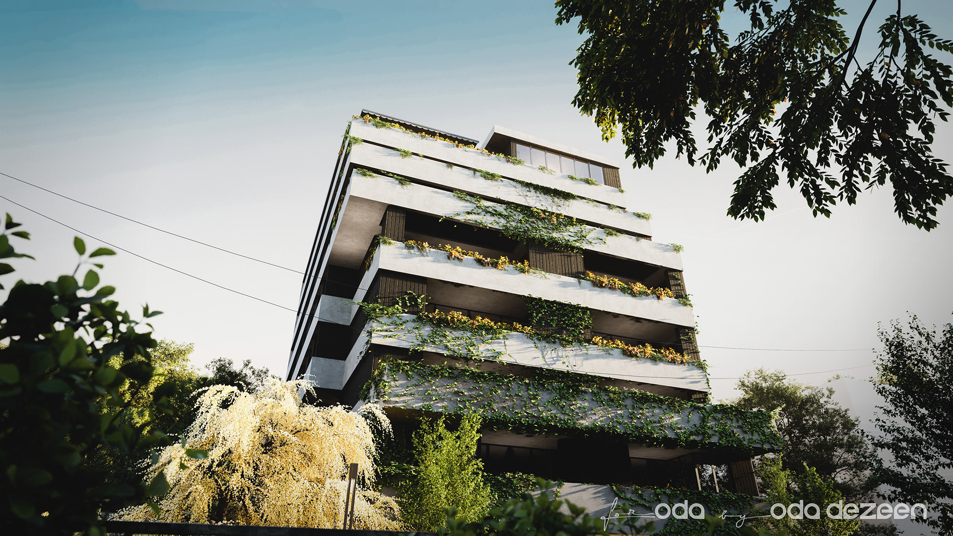 Gamrekeli 公寓丨ODA-2