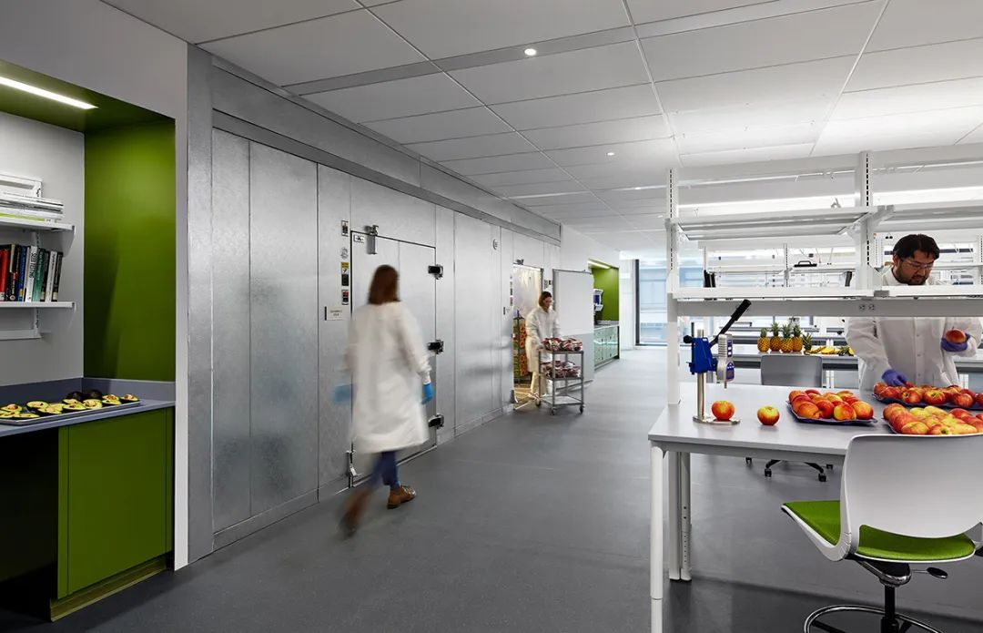 Hazel 科技芝加哥总部丨美国芝加哥丨Perkins&Will-21