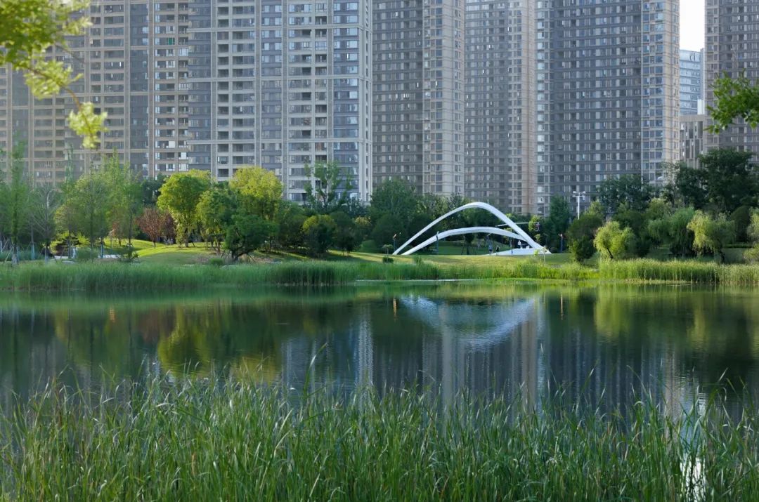 九龙湖绿地国博城雨阳公园丨中国南昌-12