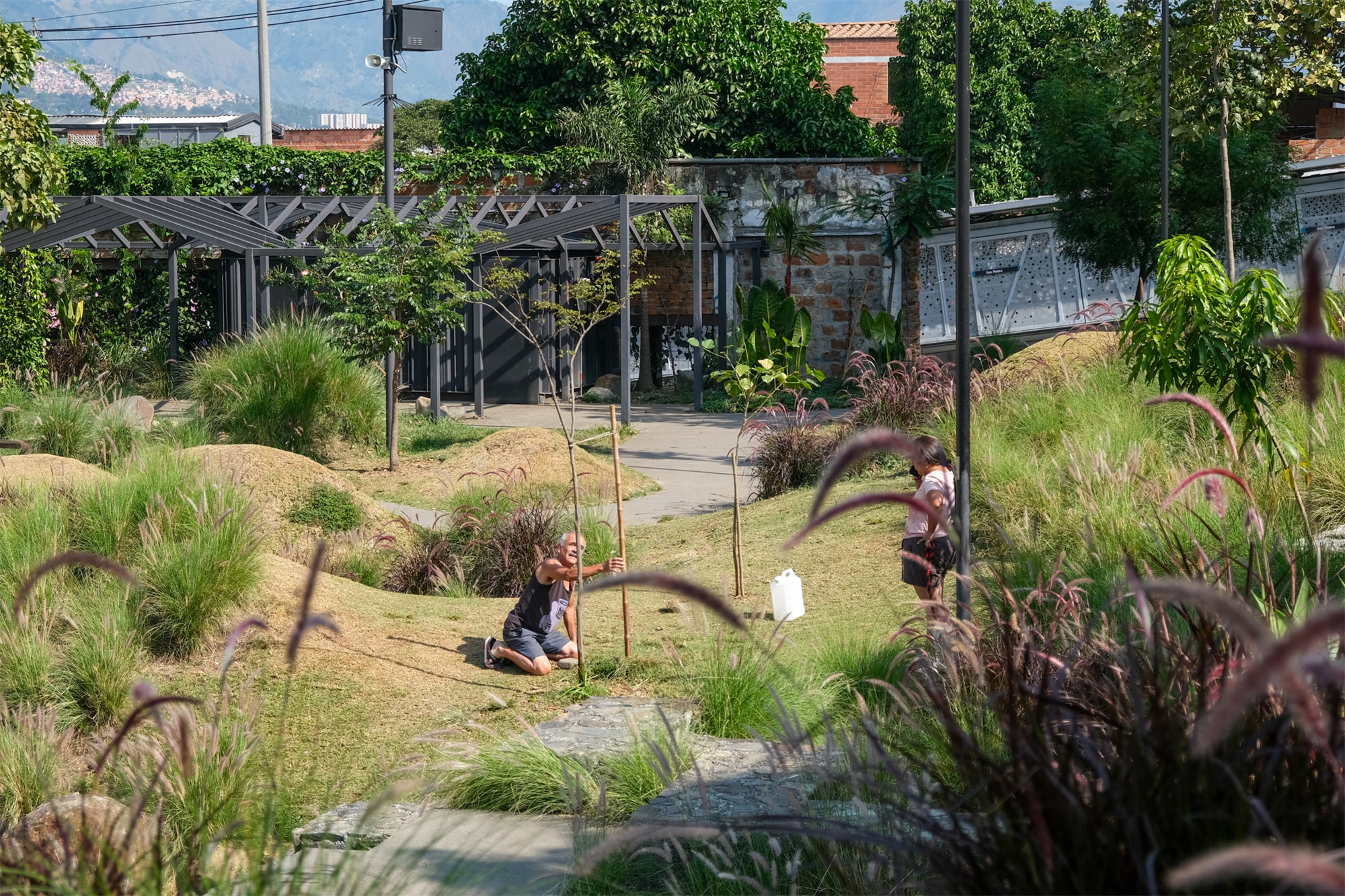 自然的生长花园PRADO PARK / Edgar Mazo-26