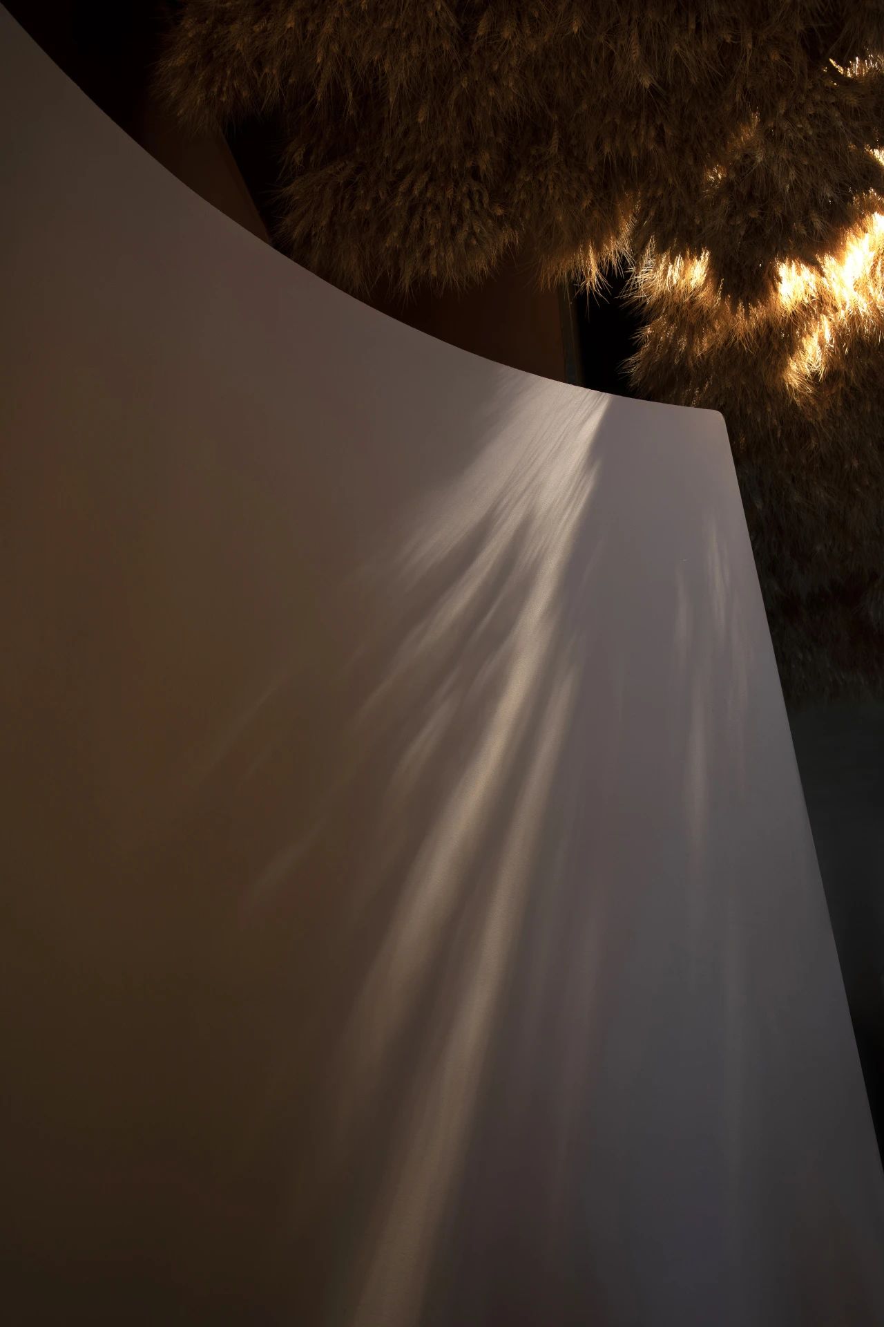 They Beauty 医疗美容项目丨中国江苏丨厦门风亚设计机构-31