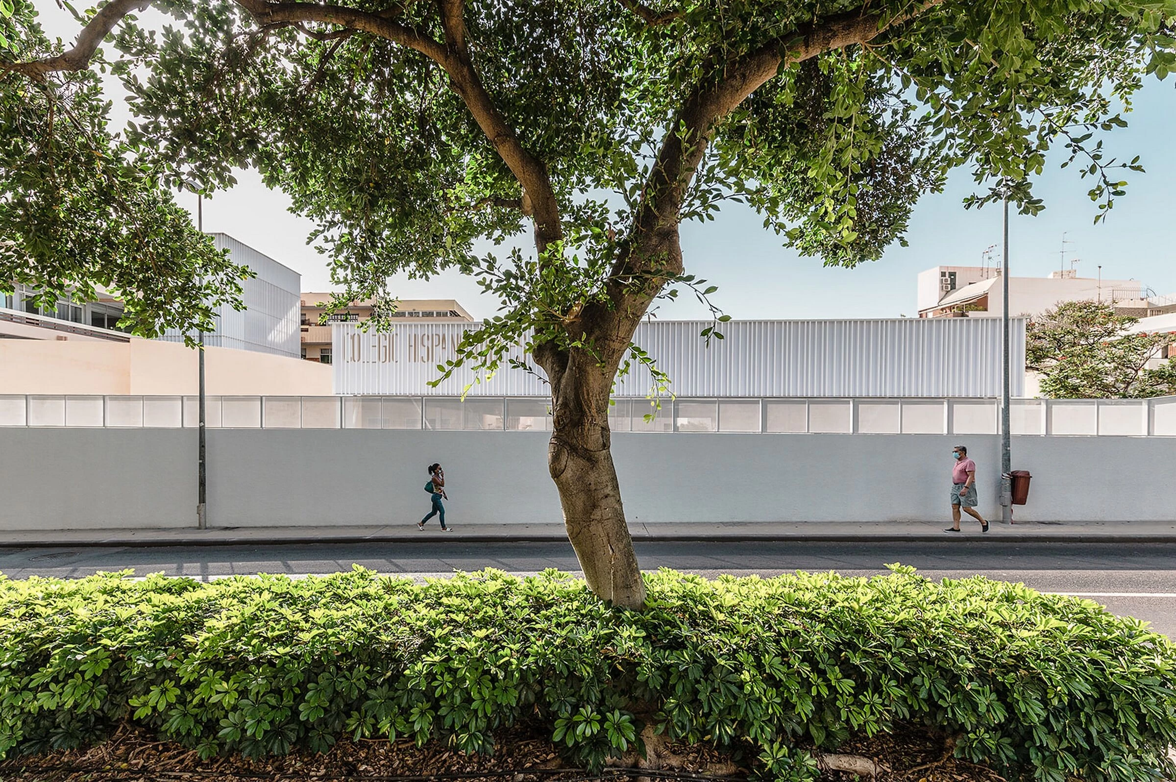 西班牙英语学校的体育运动丨西班牙丨Equipo Olivares Arquitectos-10