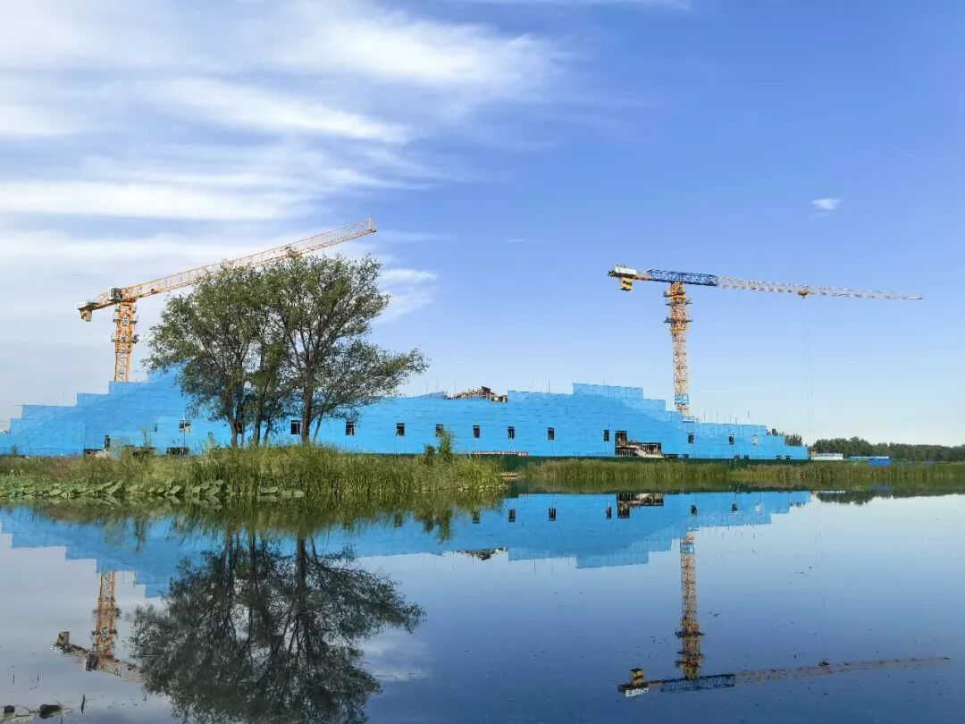 中建科工：这些小鸟在乎-2