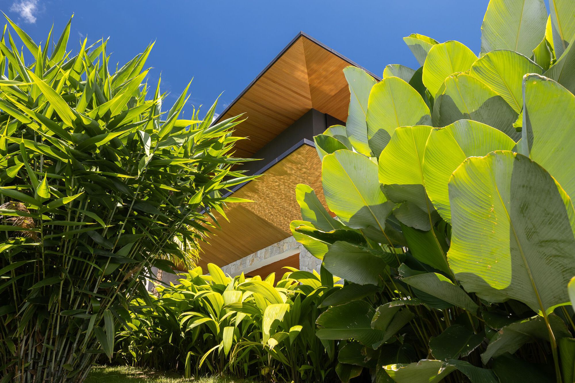 F3 住宅丨巴西圣保罗丨Belluzzo Martinhão Arquitetos-32