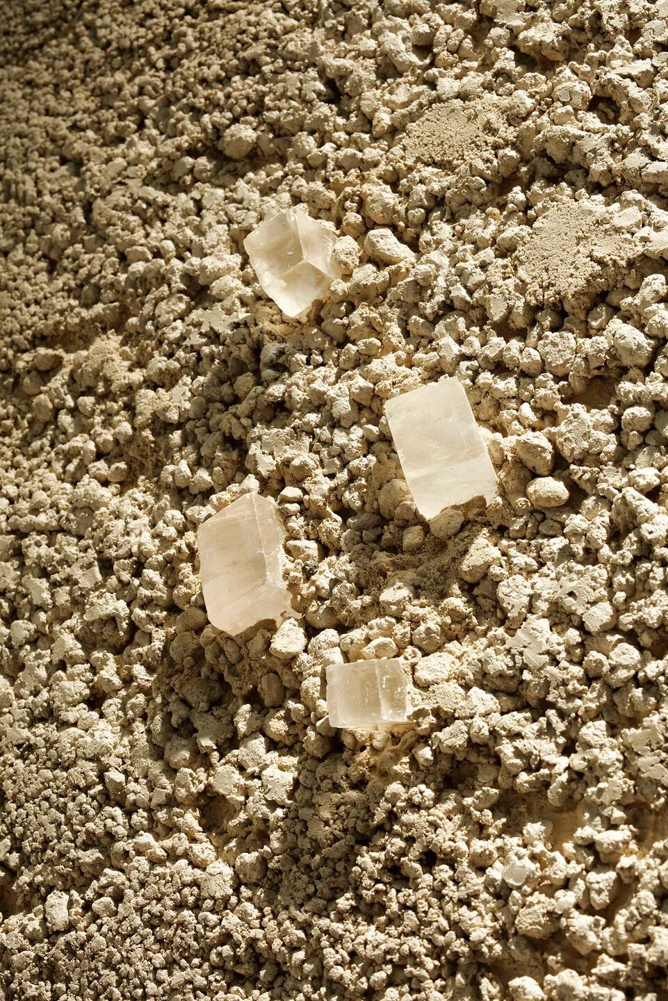 BIZOUX 珠宝店设计丨日本东京丨GAVEL INC.-23