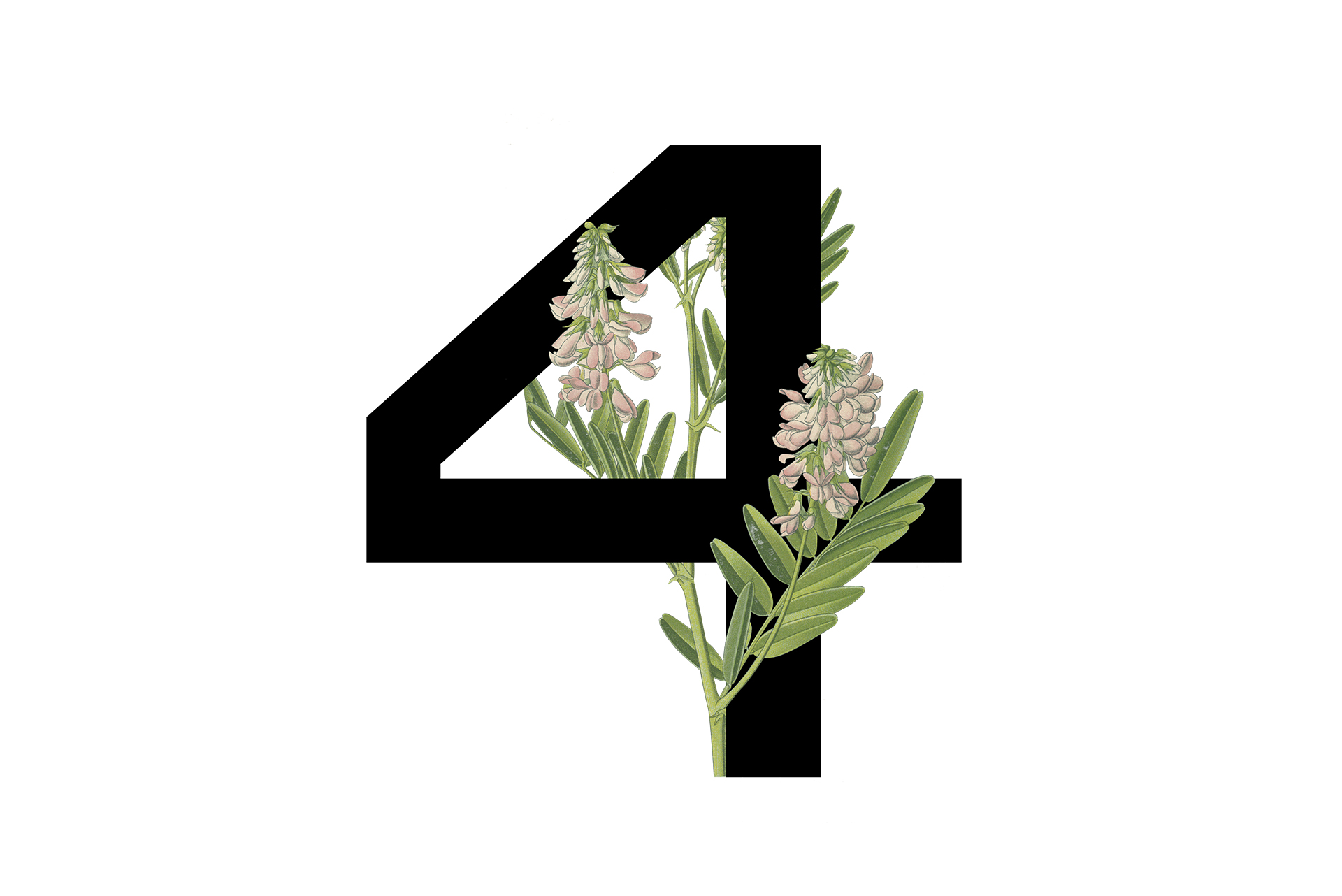 Resi4Rent 大楼导视系统与环境图形设计丨波兰克拉科夫丨blank studio,wayfinding studio-13