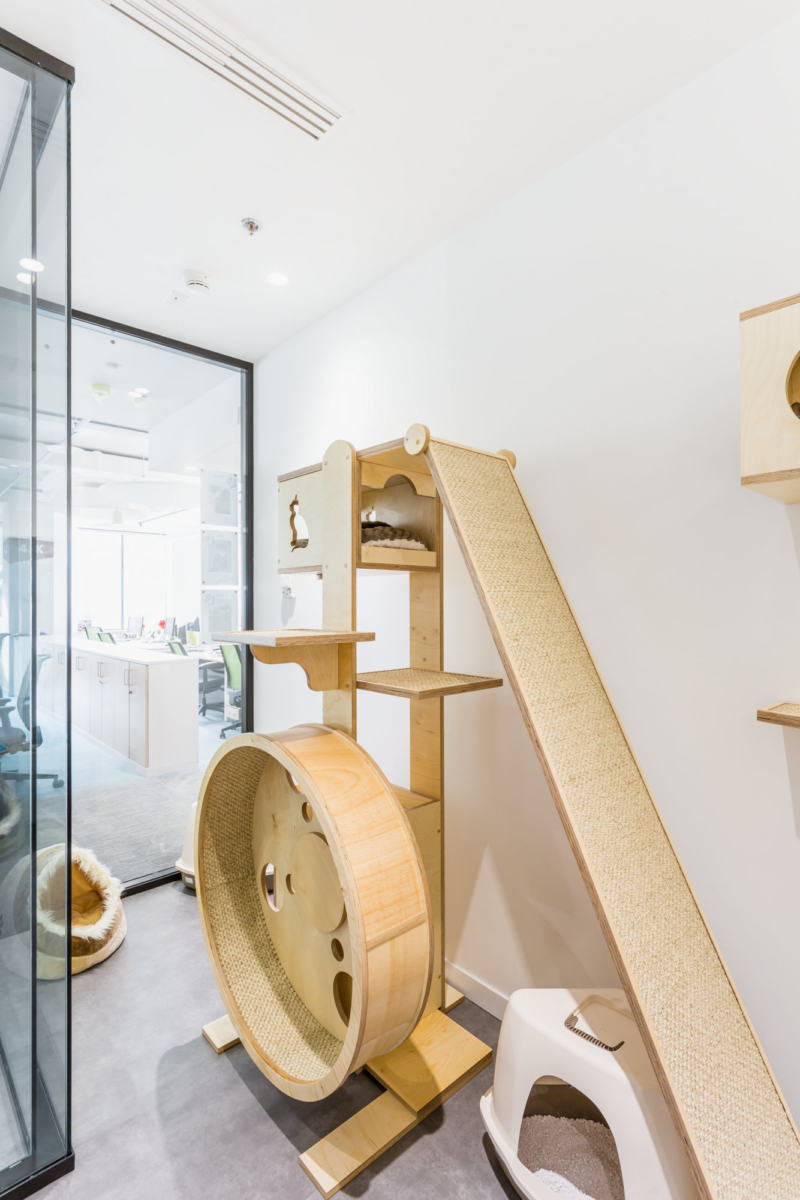 火星办公室 - 莫斯科-21