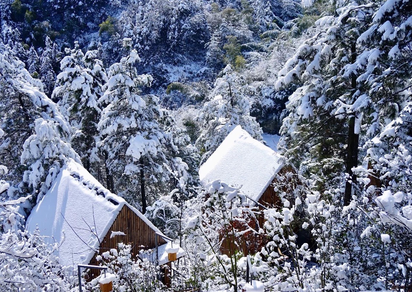 美岕山野温泉度假村 ： 荷兰AZ国际建筑事务所-12