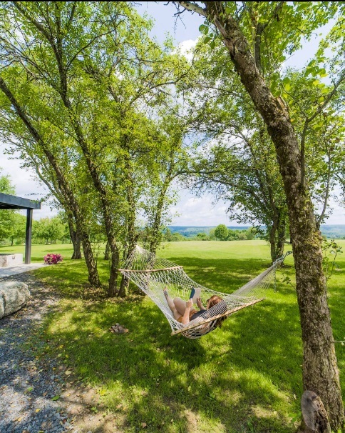 纽约郊外果园集装箱房屋丨美国纽约-29