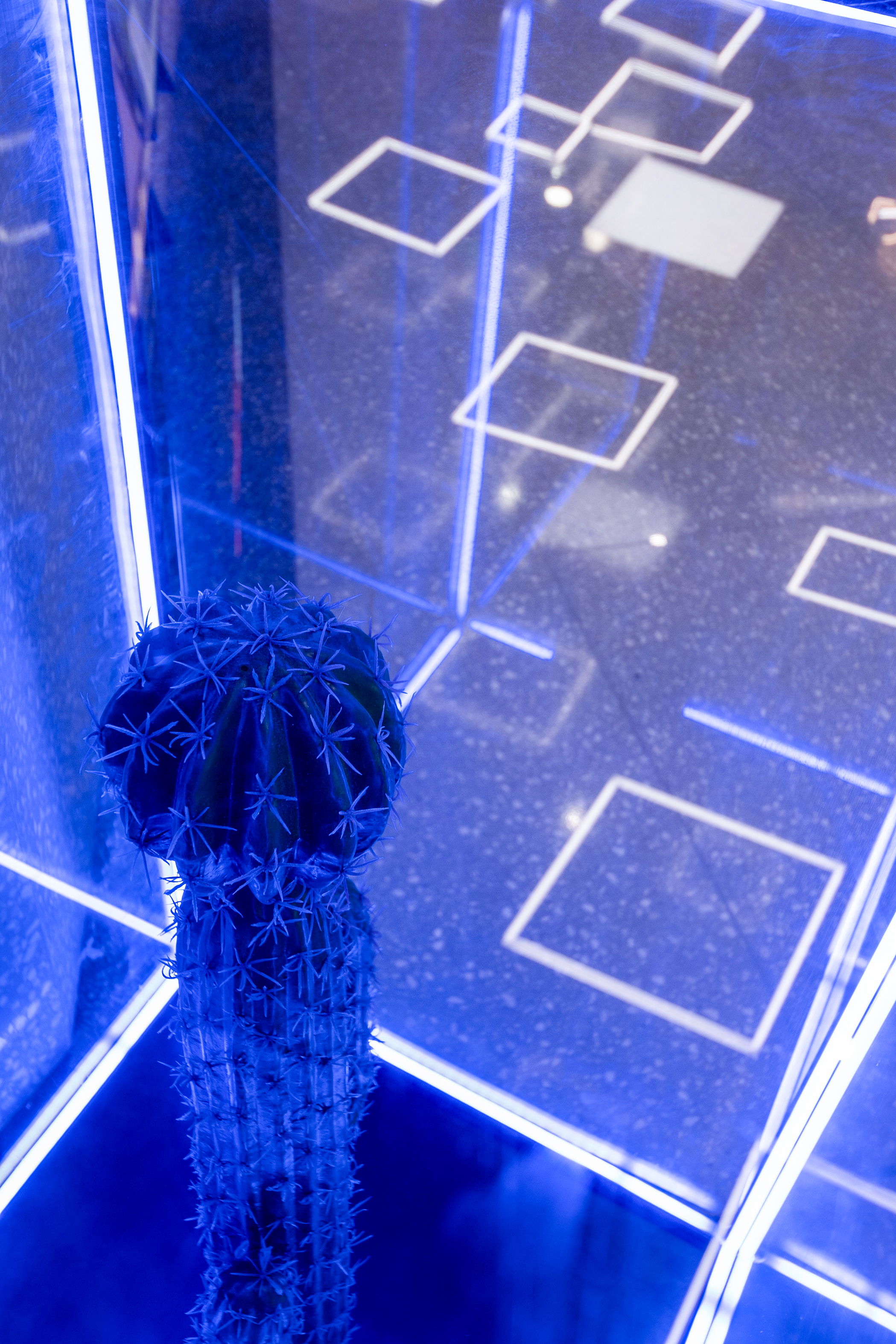 汕头万象城N次方公园“次元矩阵”丨中国汕头丨夏谷暑雨-66