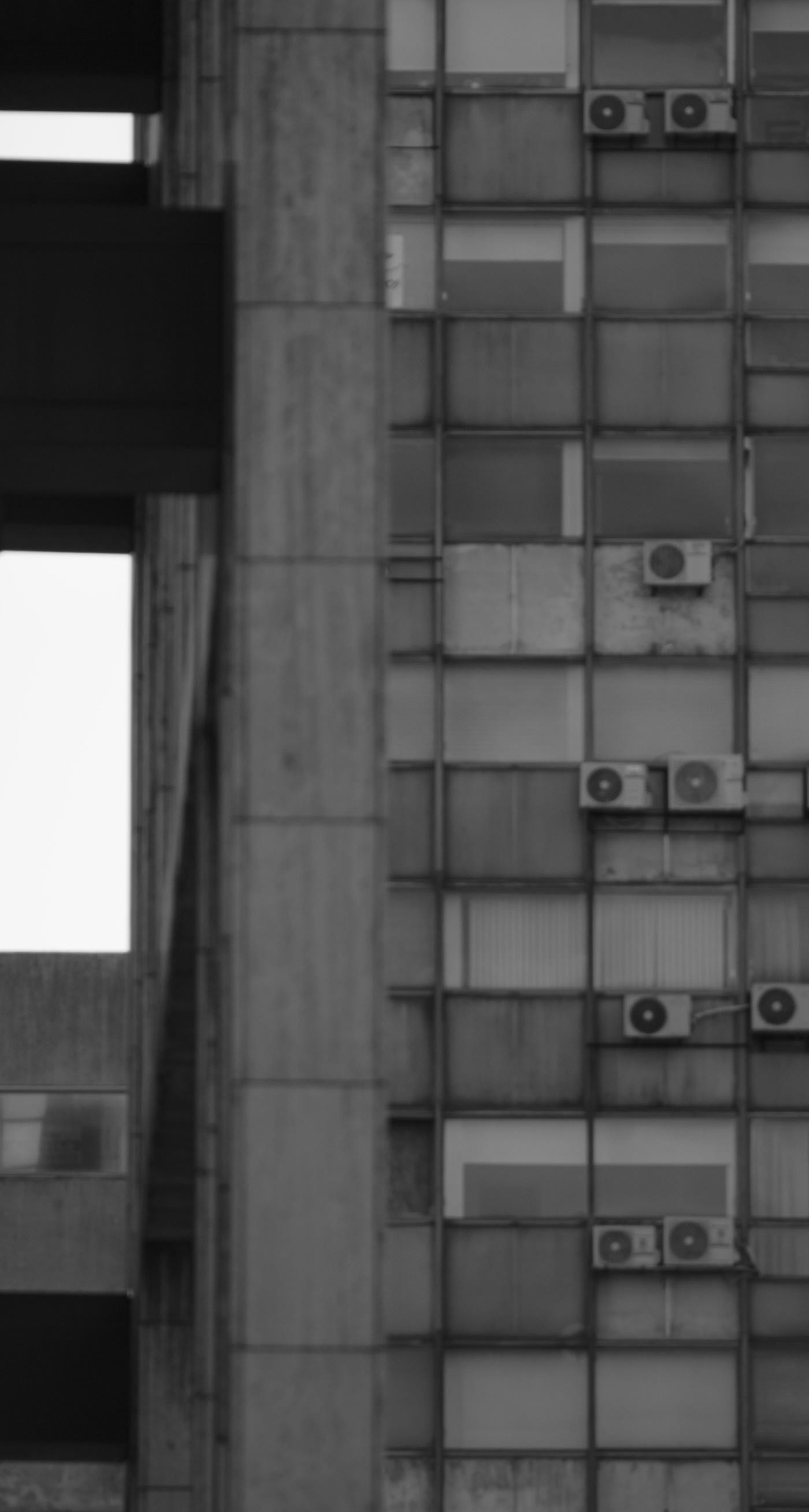 灰调蒙特维多-9