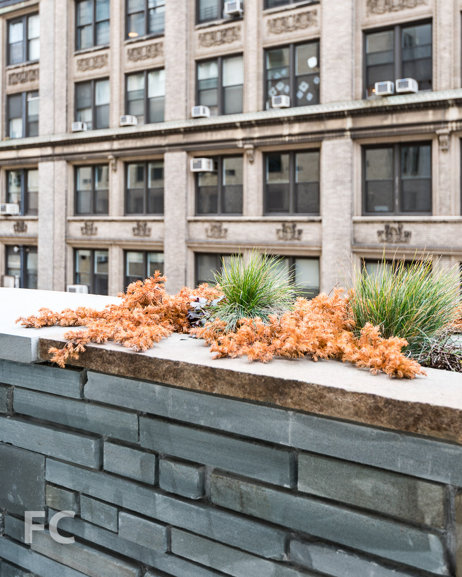 Building Tour: 12 Warren — FIELD CONDITION-19