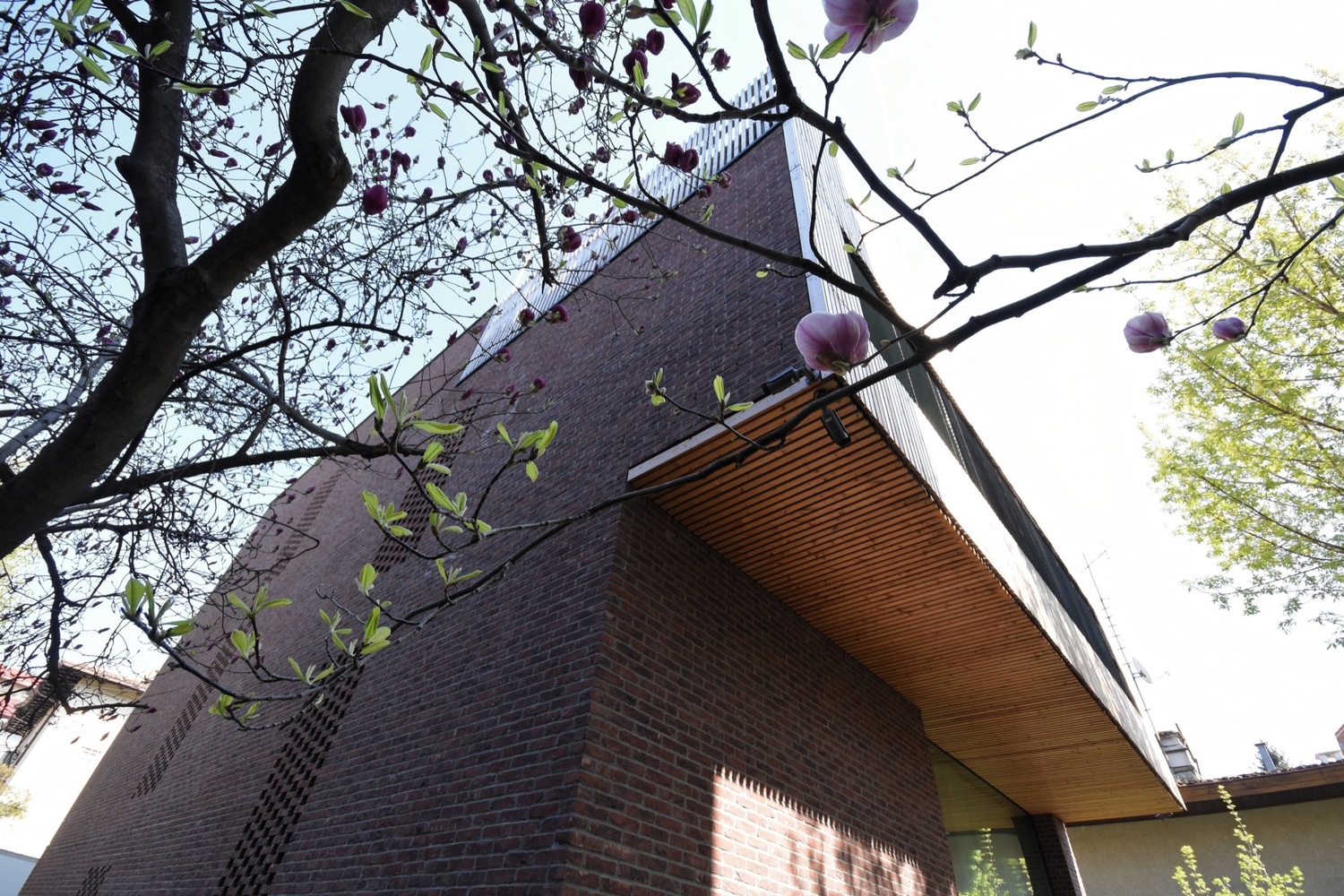 罗马尼亚四口之家垂直住宅，自然材料与光影共舞-39