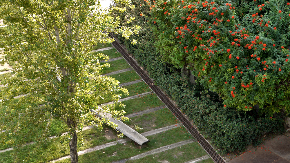 Torrent d'en Farre 公众公园-11