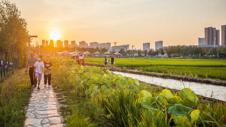 长安公园稻香园丨中国西安丨上海赤地设计事务所-10