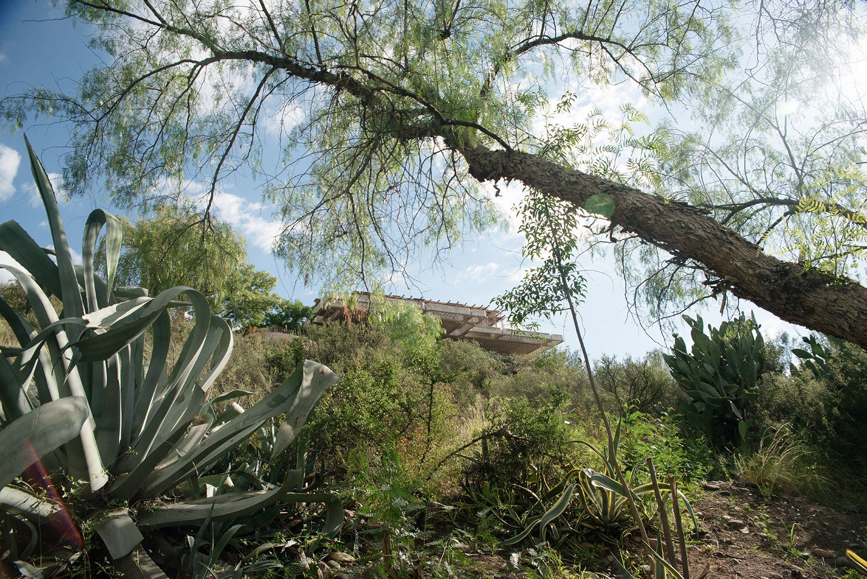 Brutal Honesty住宅丨阿根廷门多萨丨OF. STUDIO-105