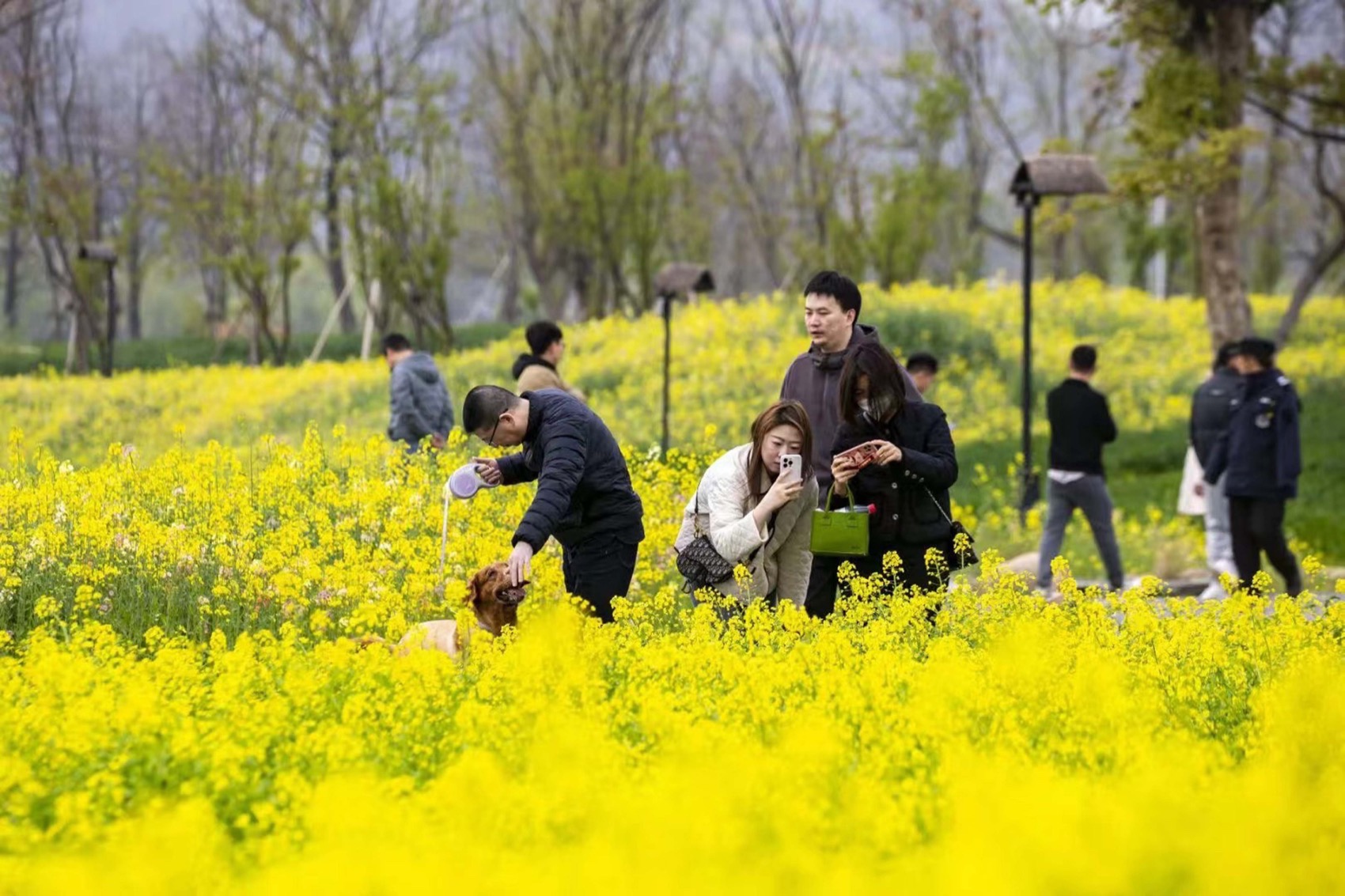 杭州富阳阳陂湖生态修复治理项目（一期）丨中国杭州丨中国电建集团华东勘测设计研究院有限公司,汉嘉设计集团股份有限公司-61
