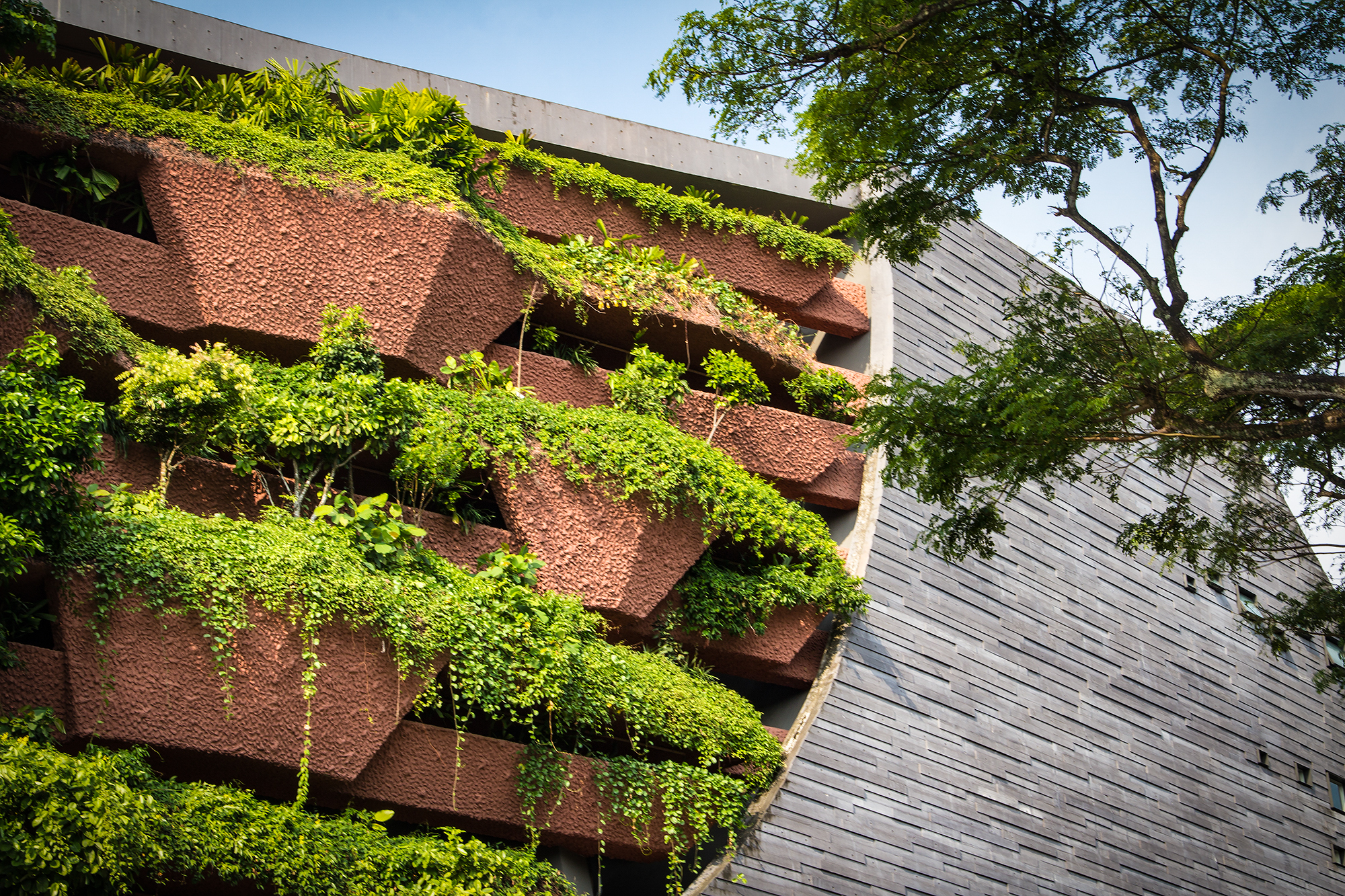 李光前自然历史博物馆丨新加坡丨Tierra Design (S) Pte Ltd-9