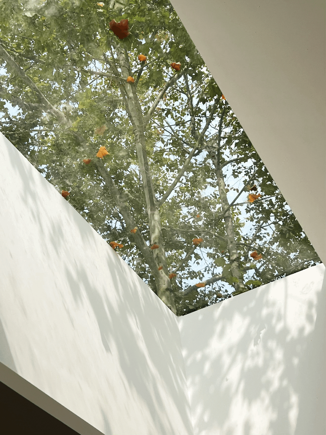 痴谜者咖啡丨中国青岛丨春田空间设计工作室-15