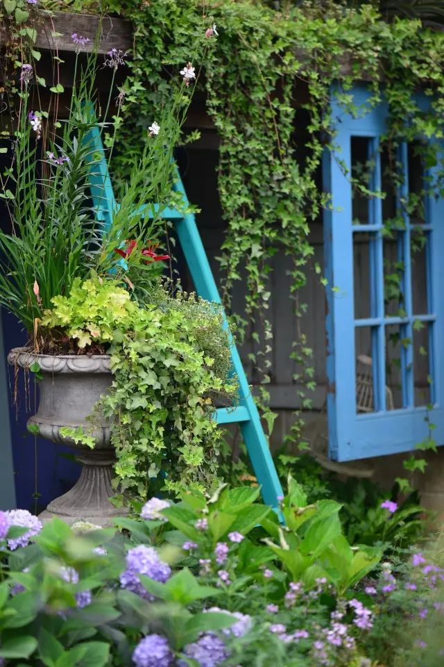 他建了座2亩的鲜花小院，满足你对花园的所有幻想-20