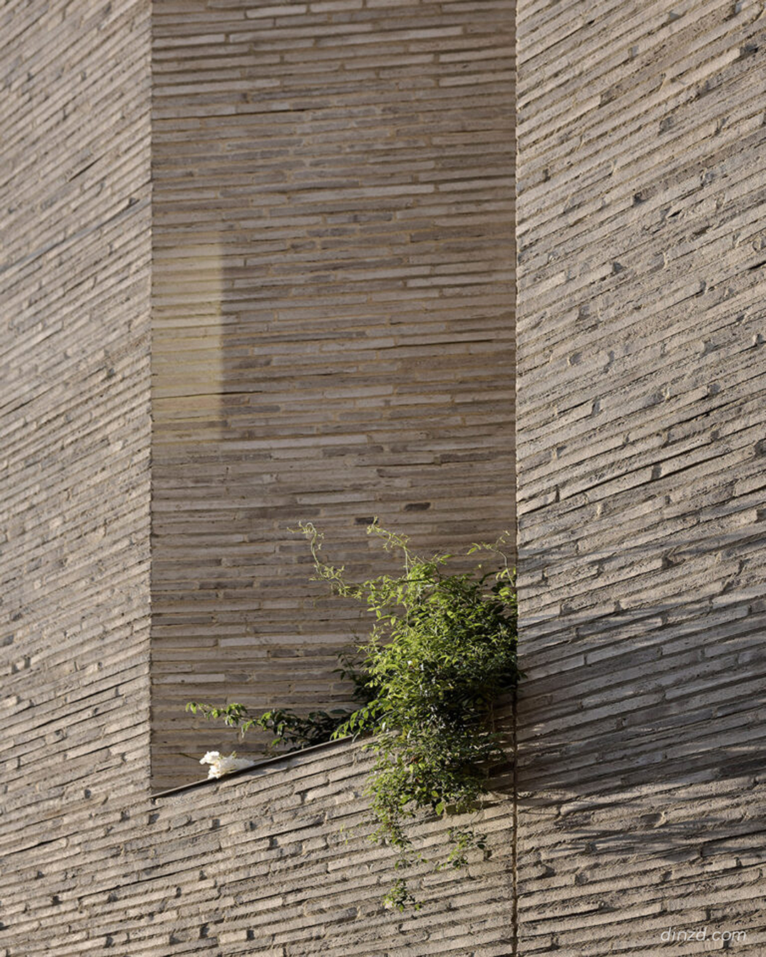 House of Light（光之屋）-5