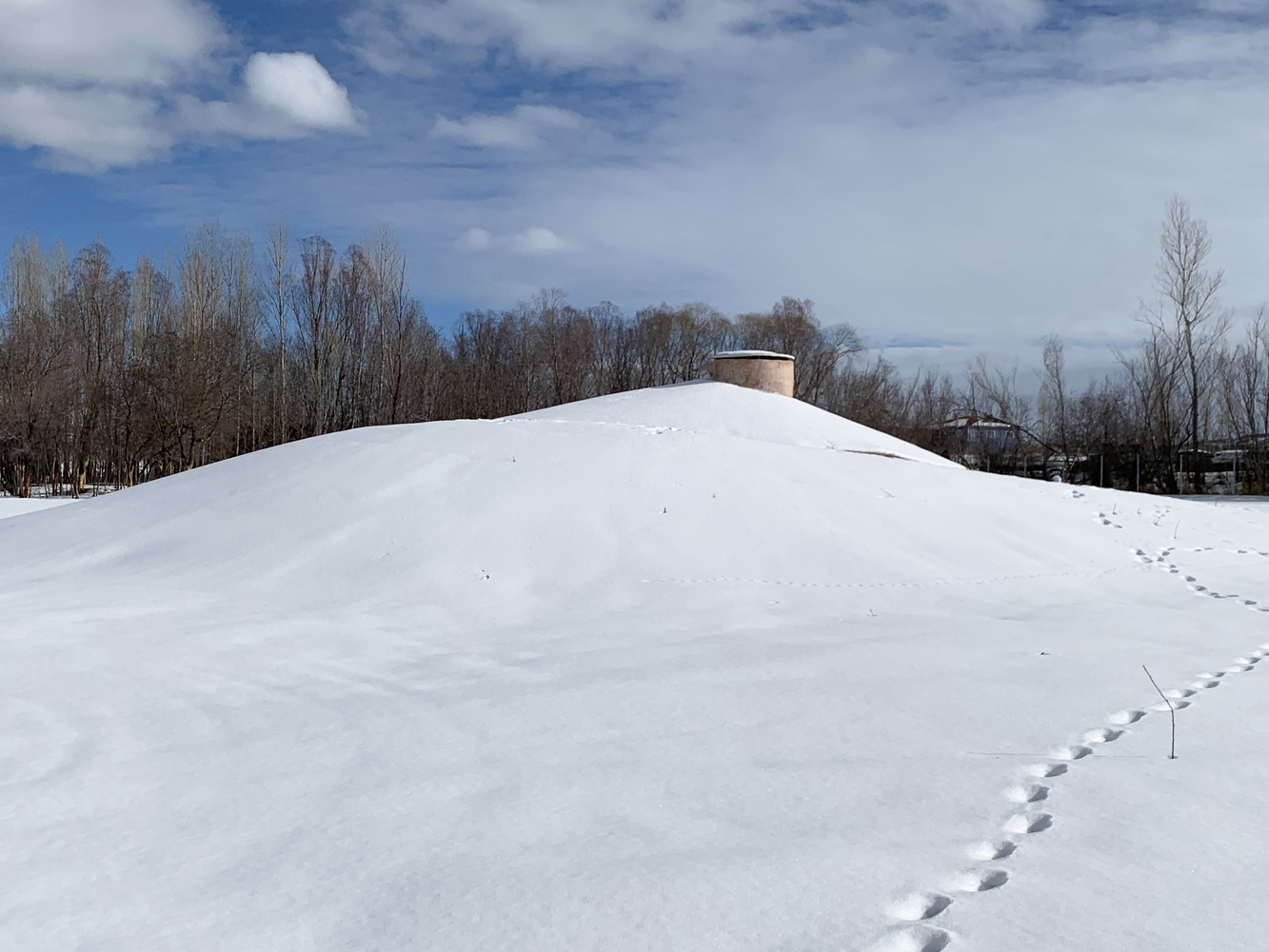 土耳其 Palanga Goat Shelter丨Erginoğlu & Çalışlar Architects-35