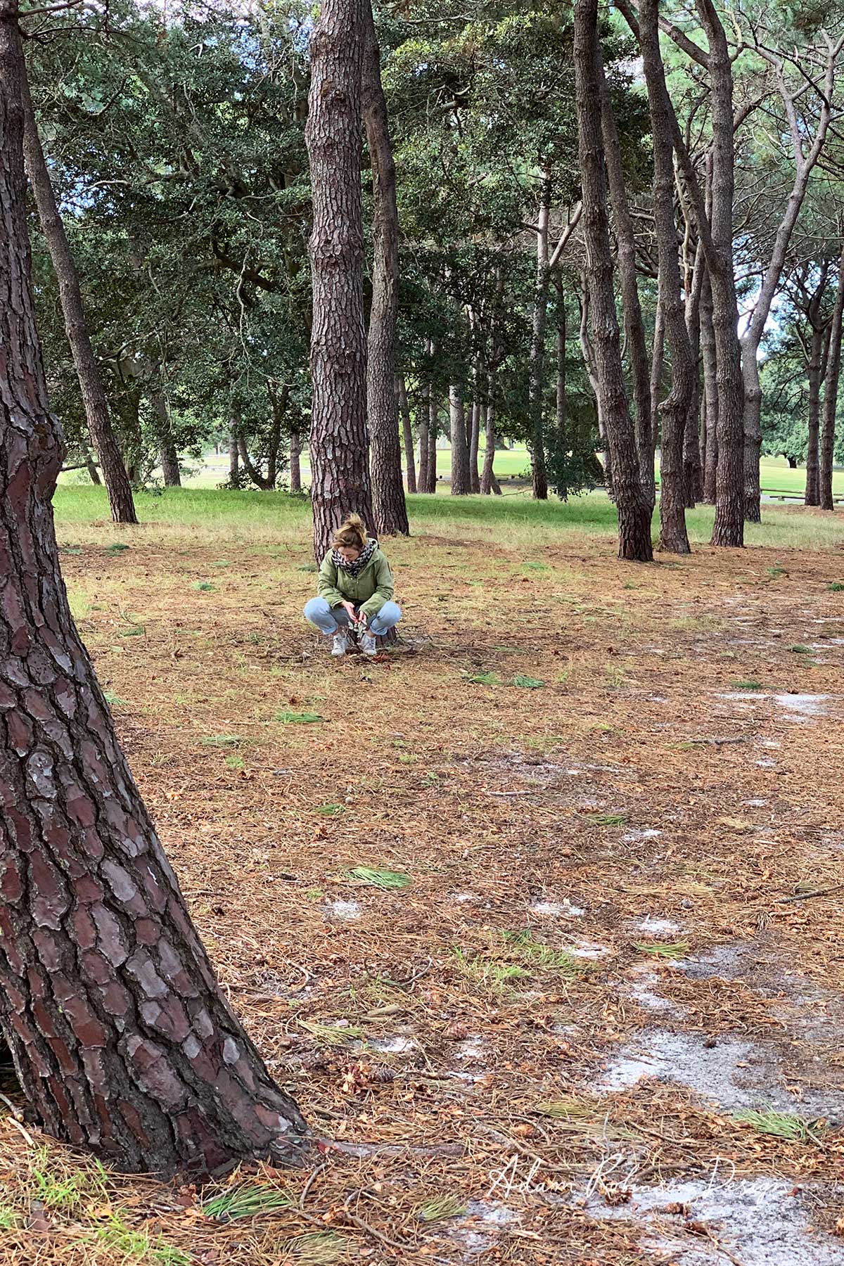 Nurture Your Nature — Adam Robinson Design-7