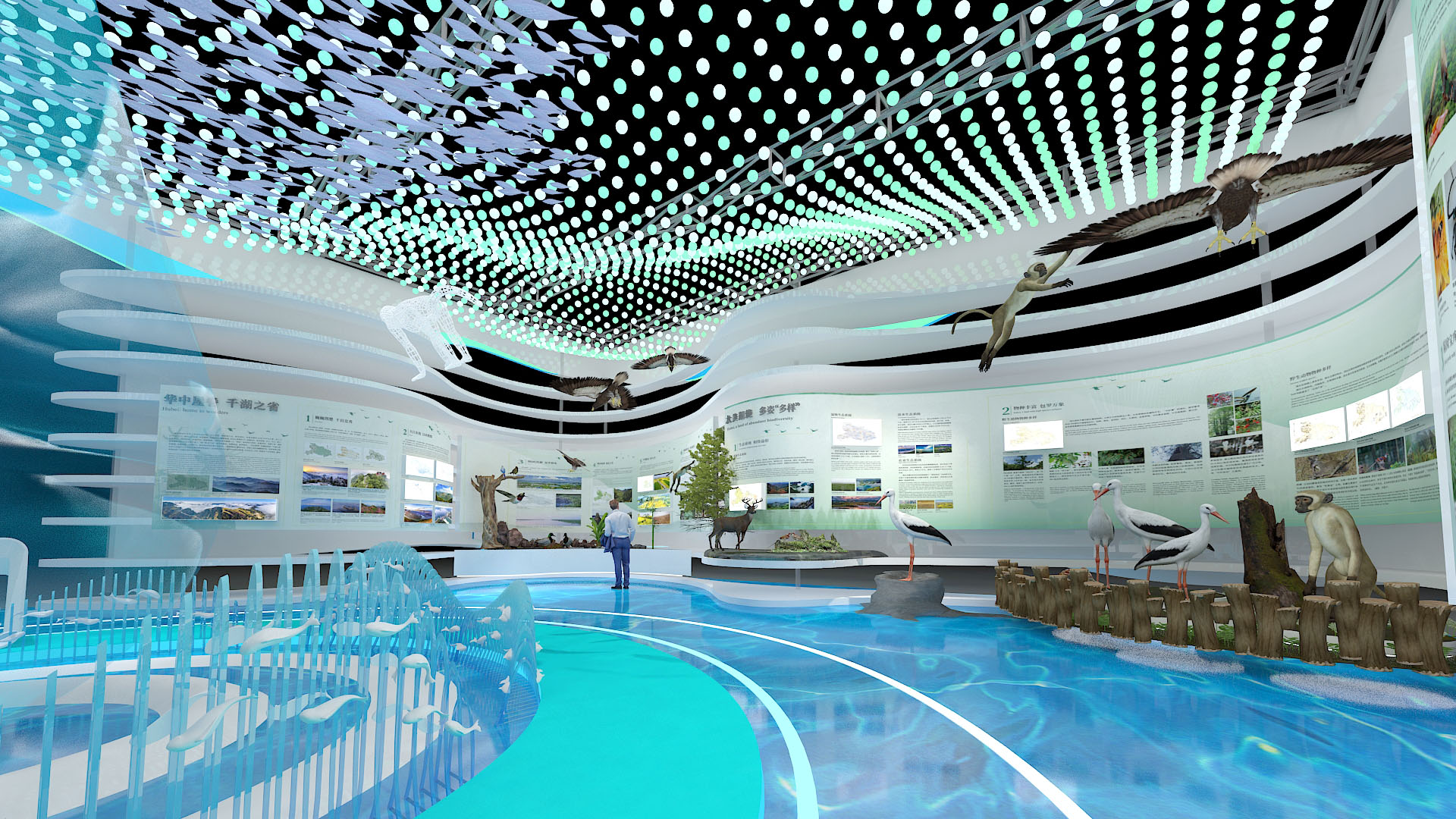 生物多样性-湖北馆-4