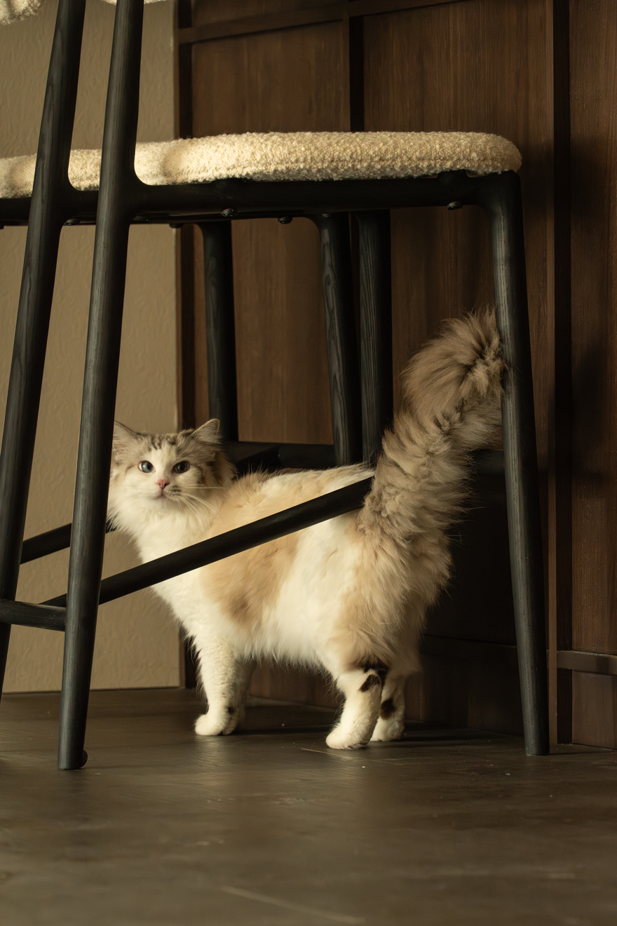 归真丨中国武汉丨卓元设计-44