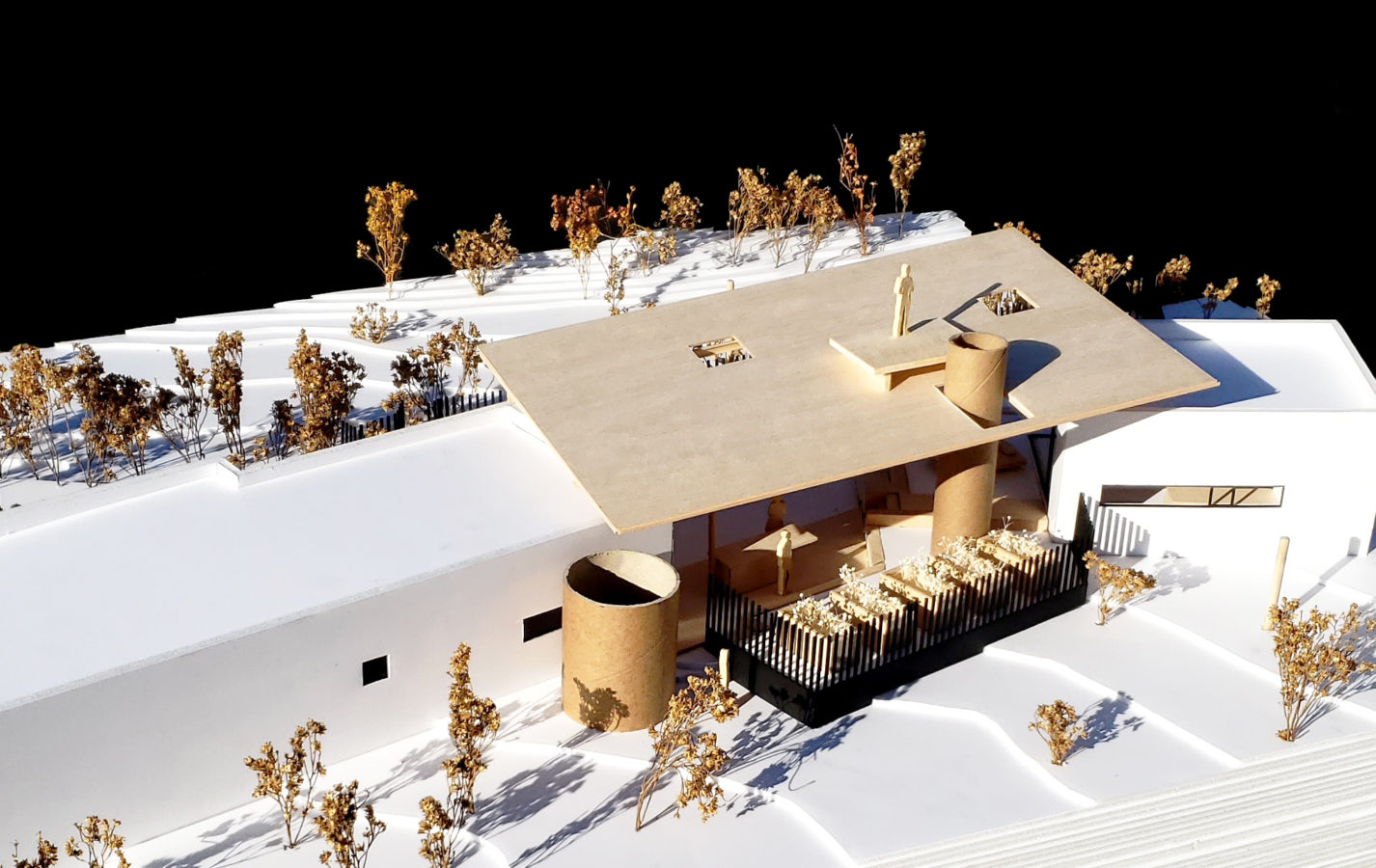 丨美国图森丨Rob Paulus Architects-3