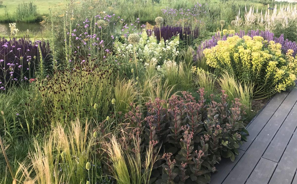 丨NetherlandsAlmere-13