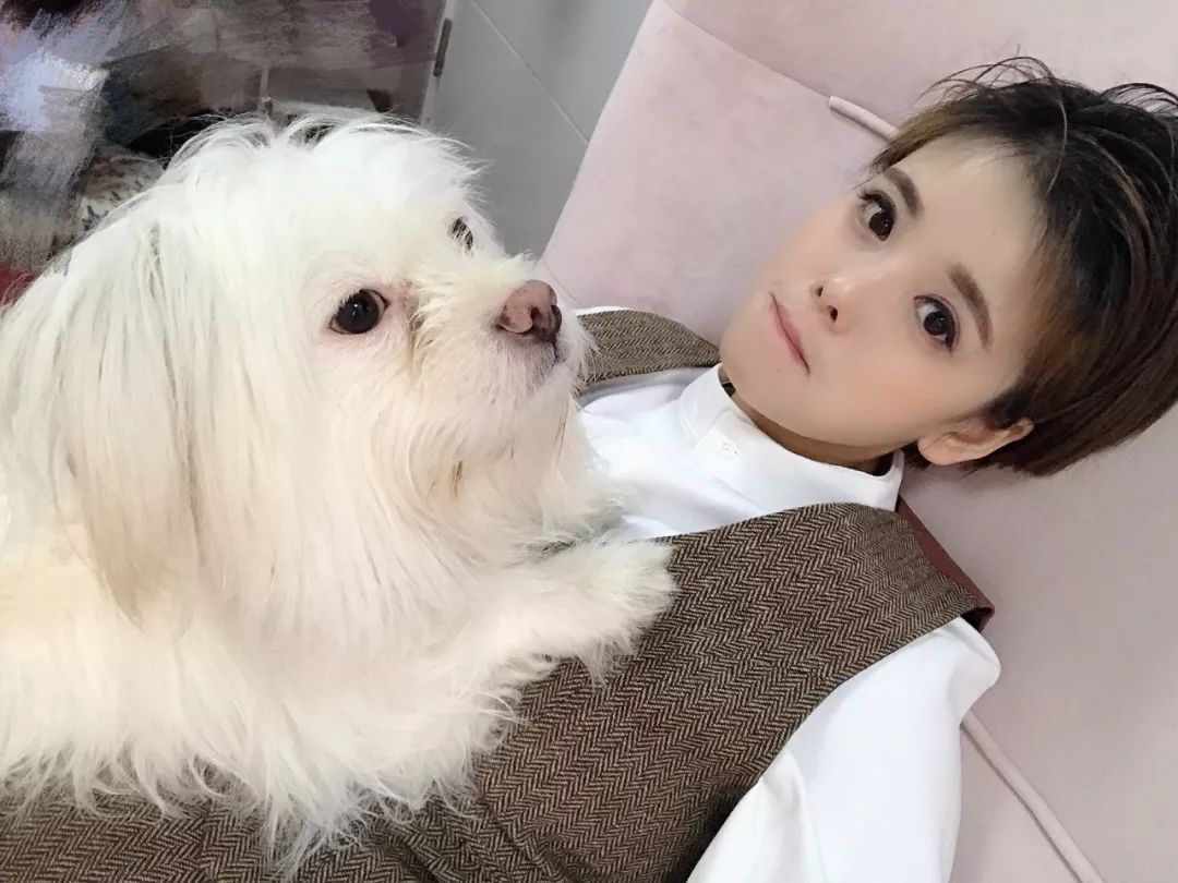 尚层装饰助力九龙仓滨江壹十八,专业设计实现居家梦想-111