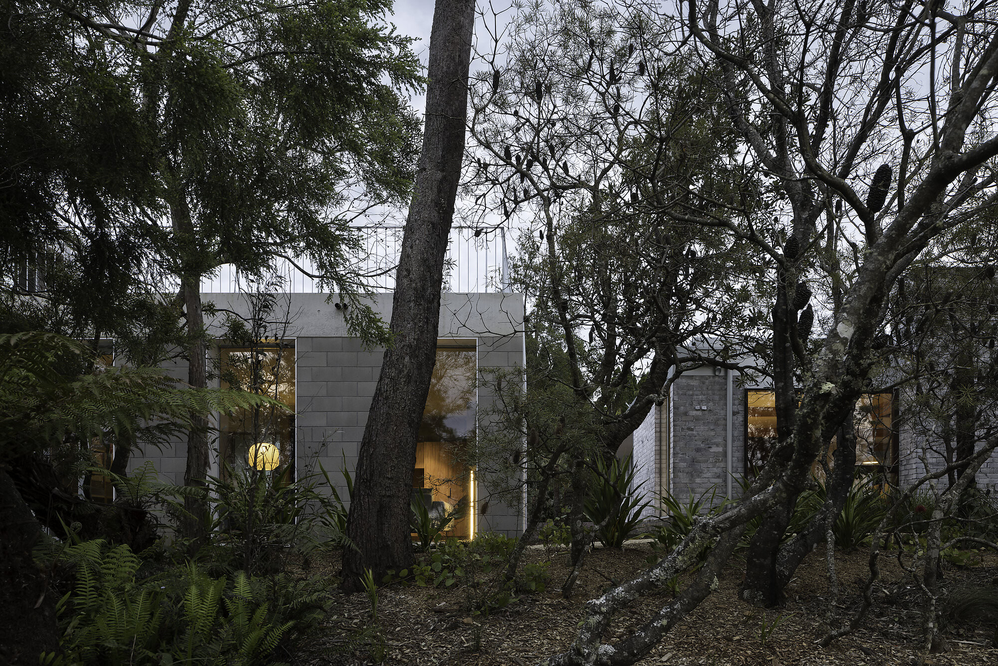 红山屋与工作室丨澳大利亚布里斯班丨Zuzana and Nicholas-43