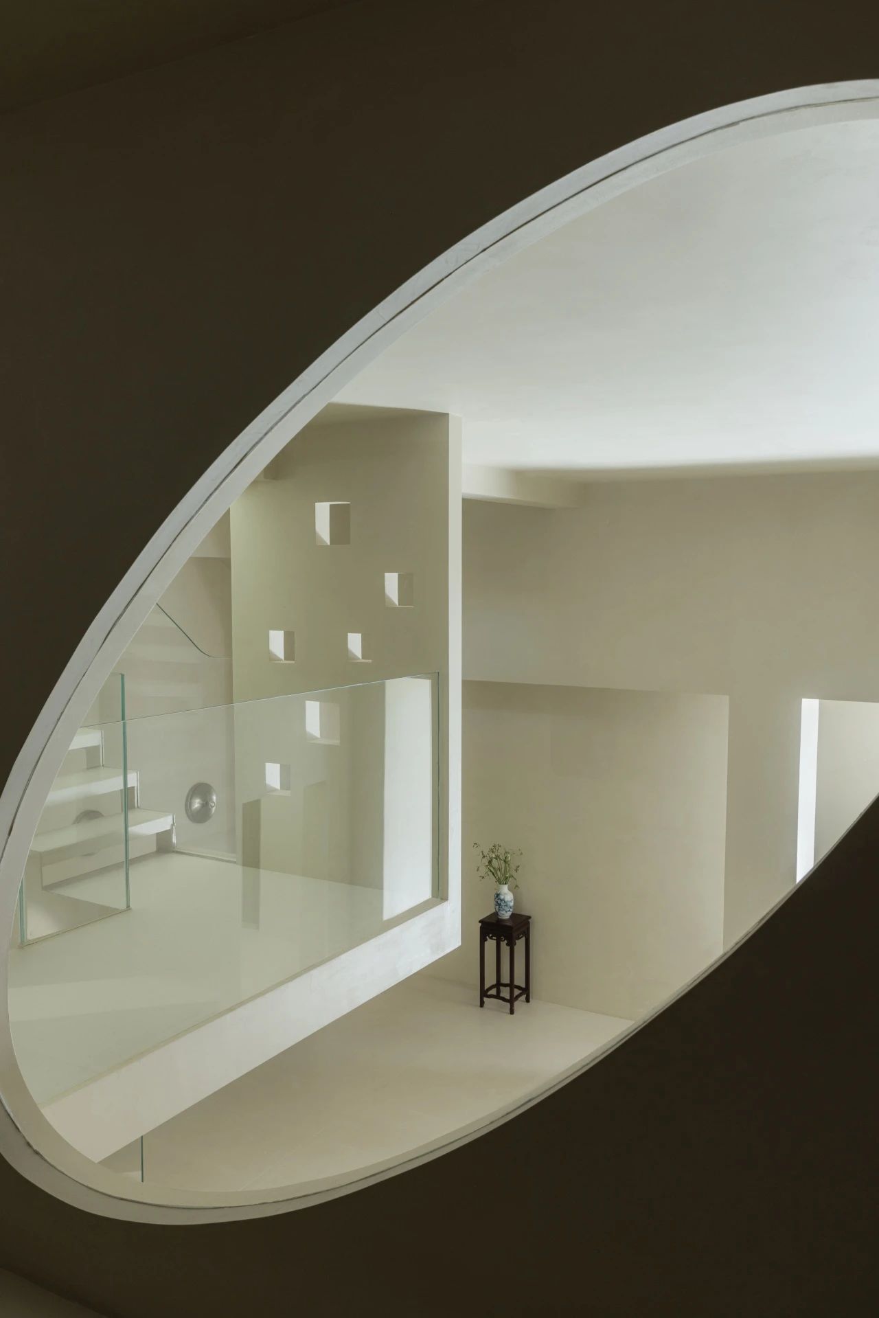 枝叶扶苏丨中国合肥丨量子空间-0