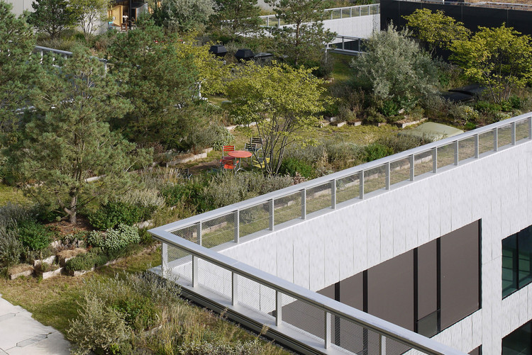 苏黎世艺术大学屋顶花园-24