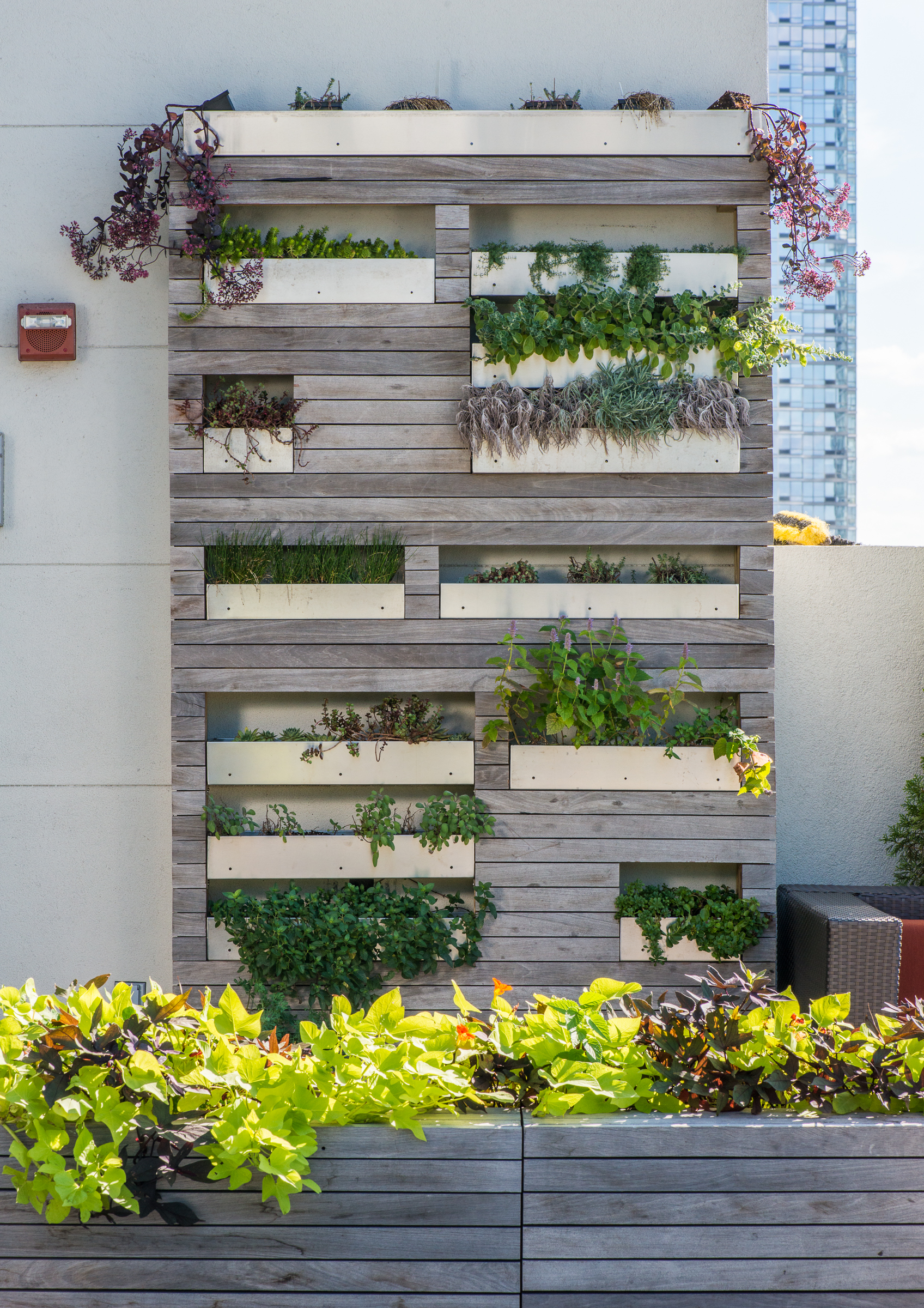 Pool Farm | Future Green Studio-9