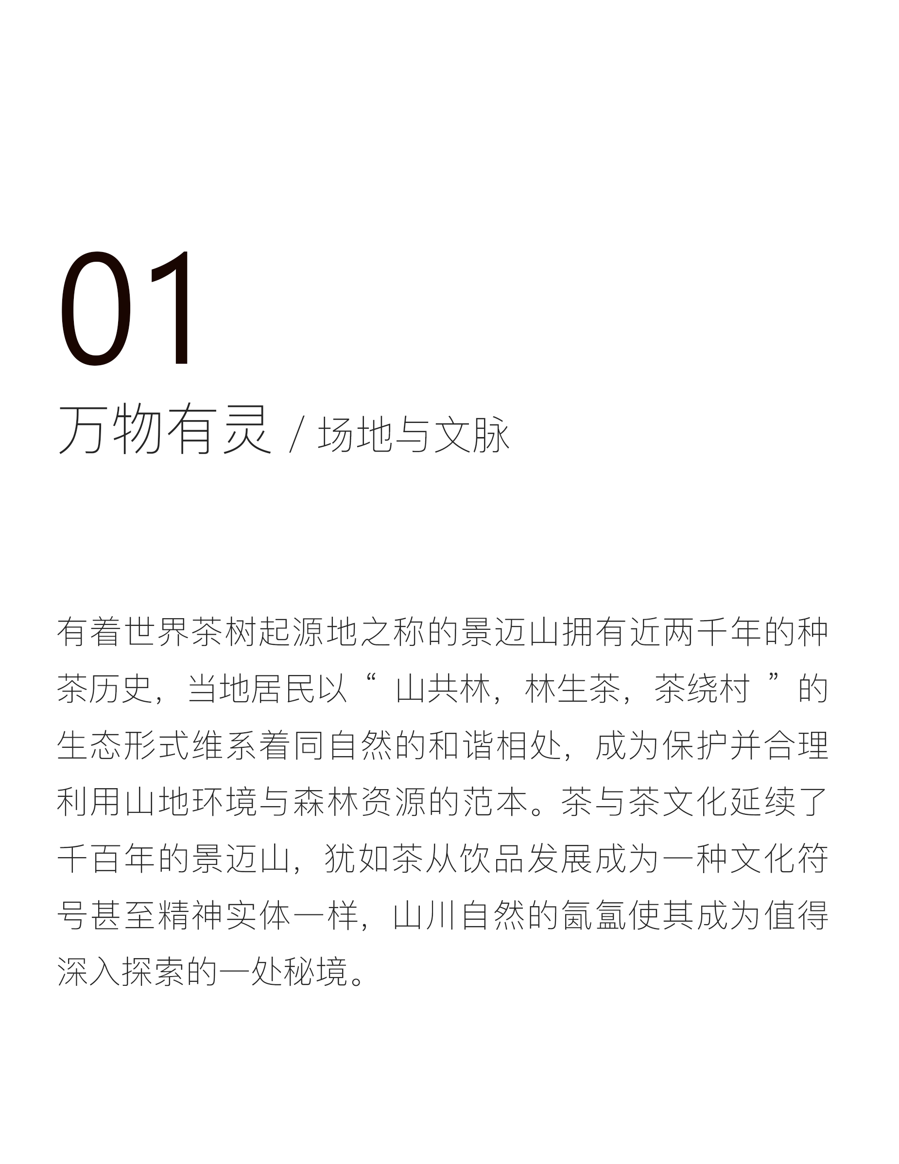 景迈山·茶马古窖丨中国云南丨MASA Studio 建筑事务所-34