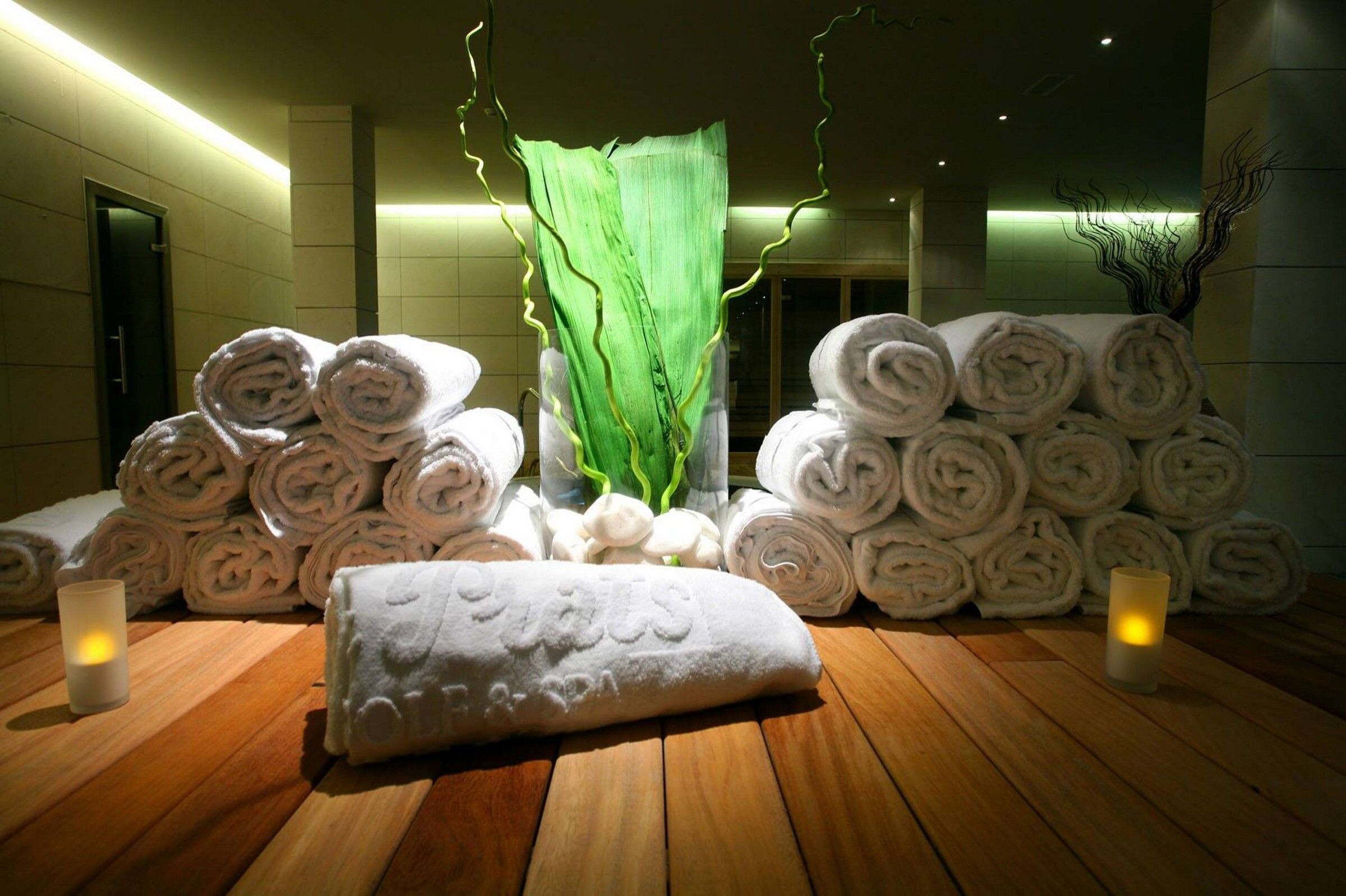 地形融入的绿色多功能酒店设计-36